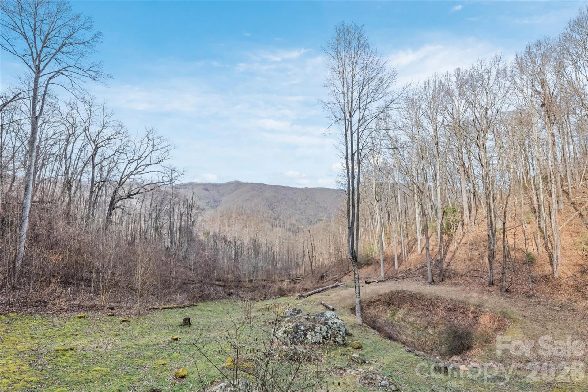 10 Zenith Drive - Photo 38