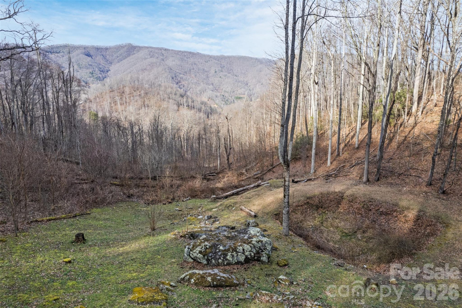 10 Zenith Drive - Photo 6
