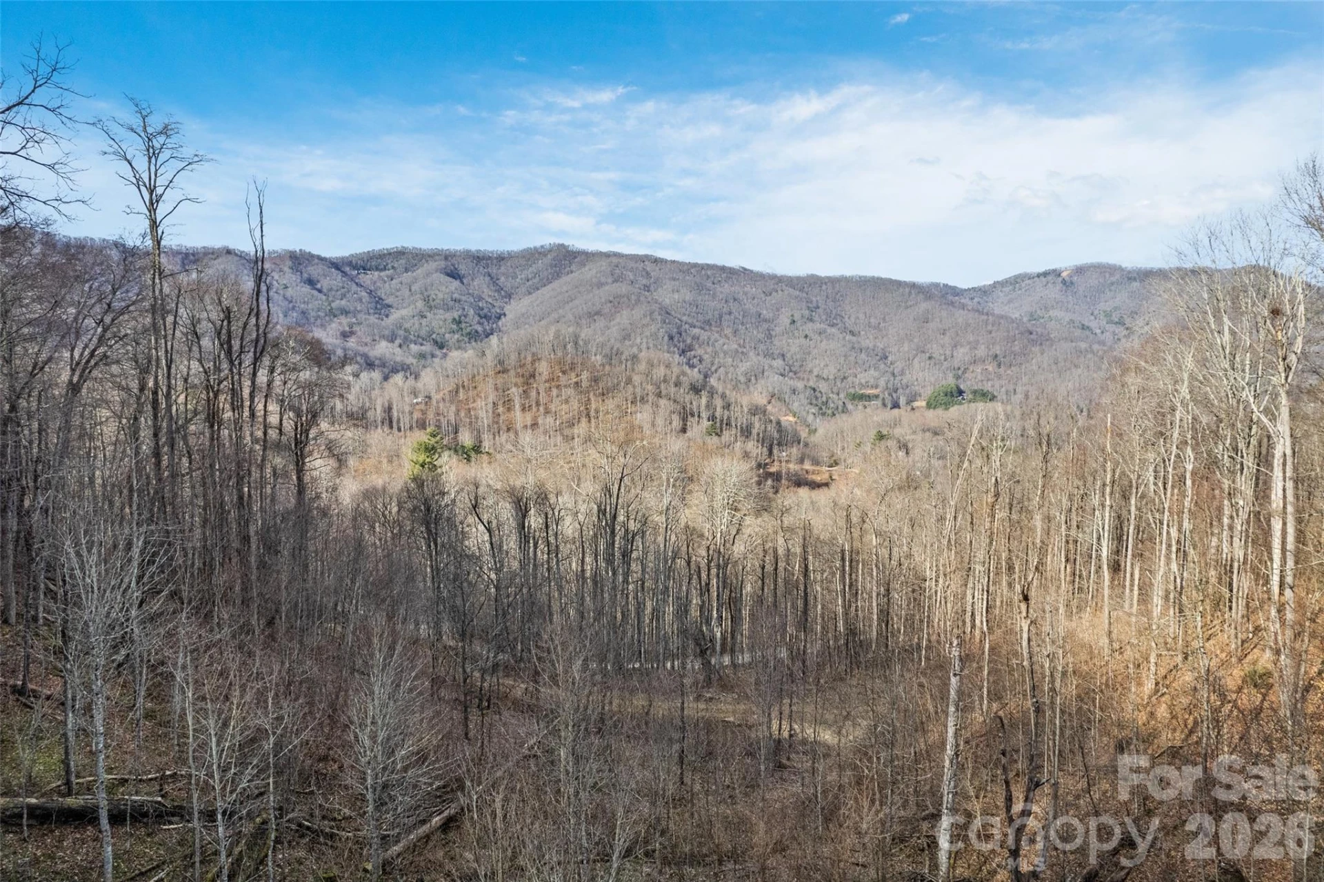 10 Zenith Drive - Photo 7