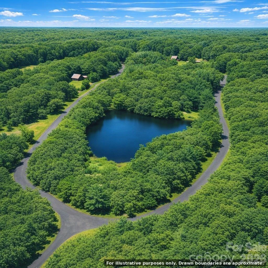 0000 Lake Ridge Trail - Photo 2