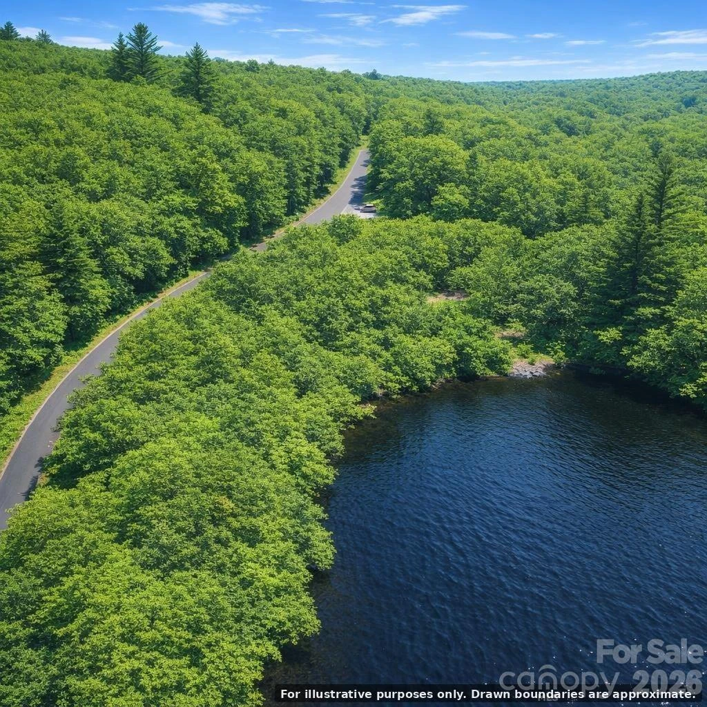 0000 Lake Ridge Trail - Photo 3