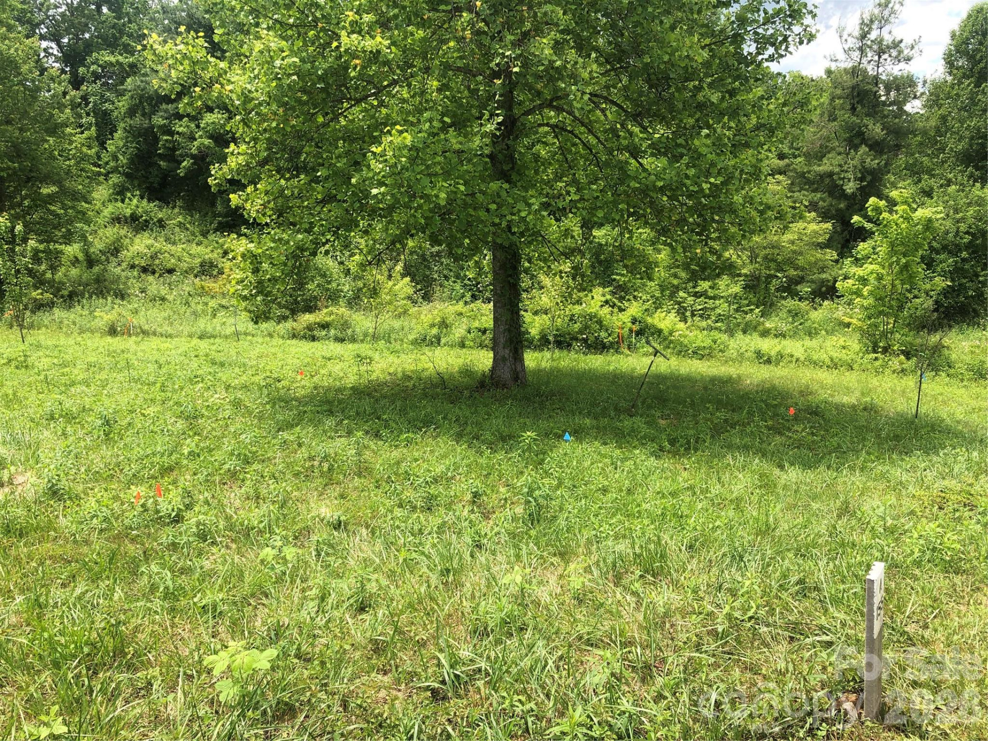 4 Ambrose Court #155 - Photo 13