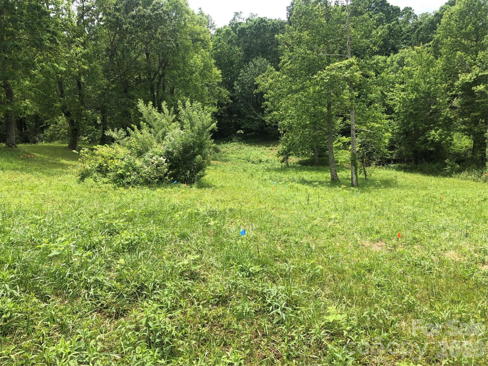 4 Ambrose Court #155 - Photo 14