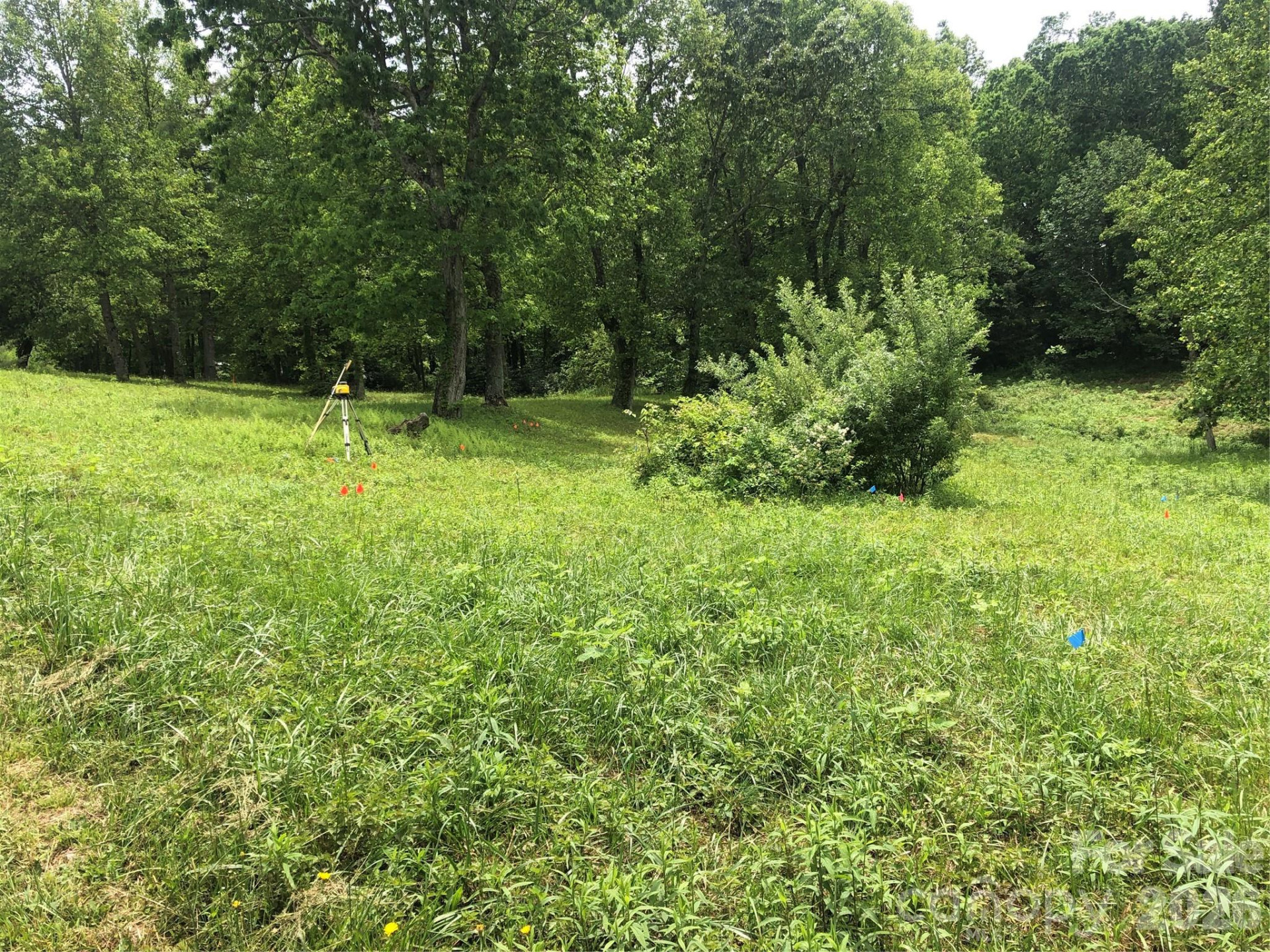 4 Ambrose Court #155 - Photo 15