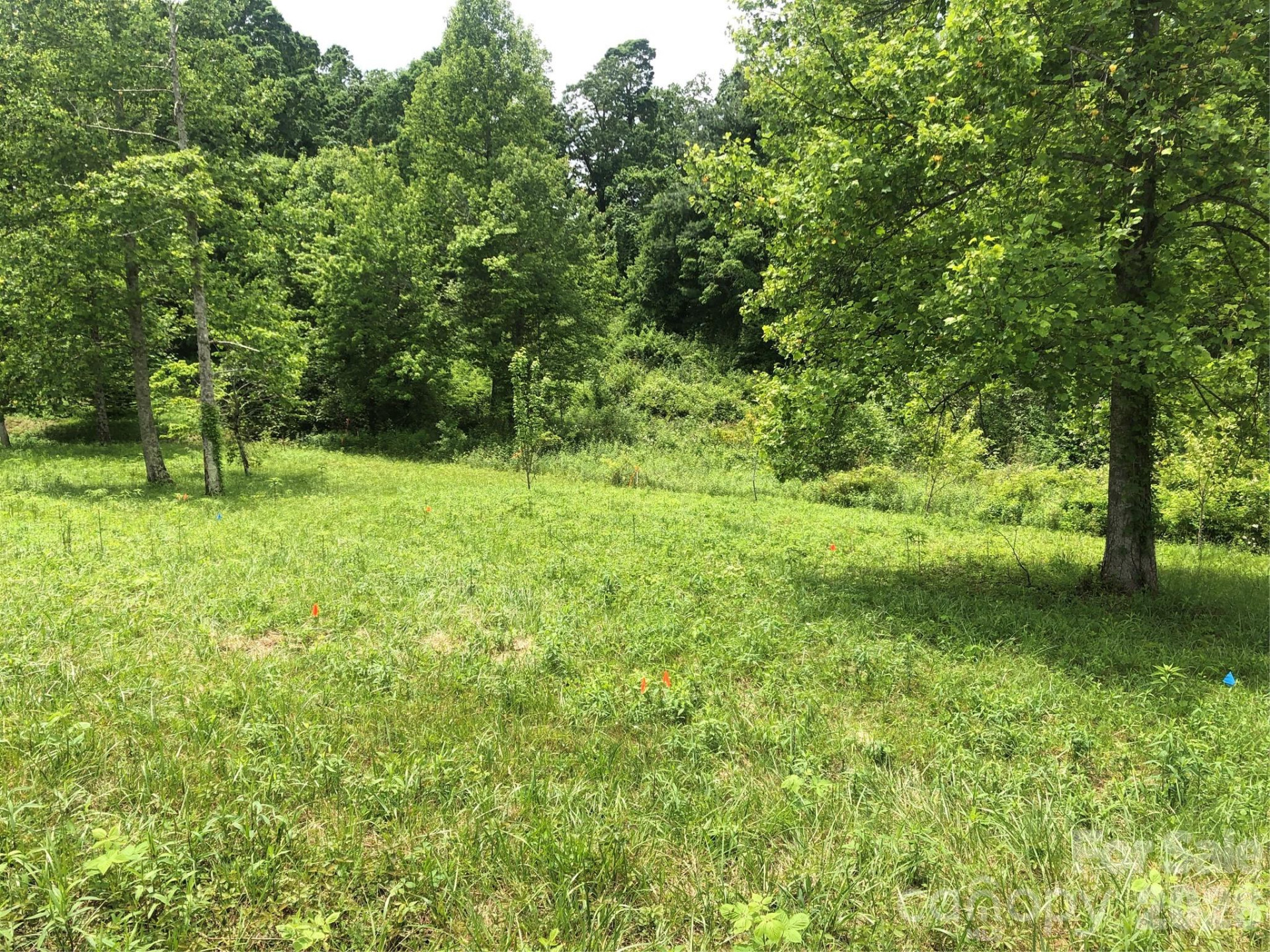 4 Ambrose Court #155 - Photo 16