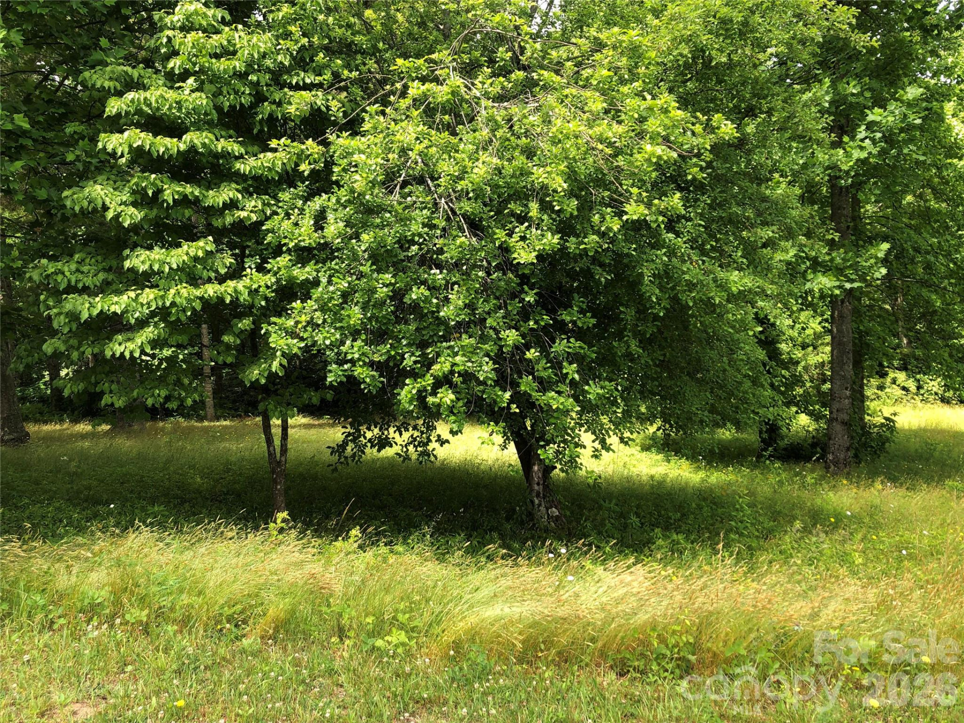 4 Ambrose Court #155 - Photo 33