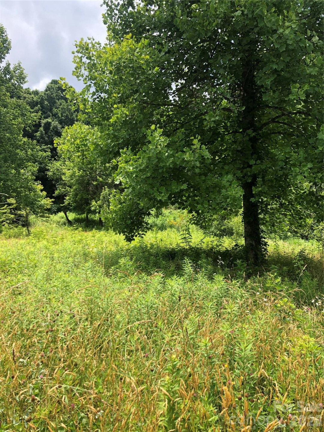 4 Ambrose Court #155 - Photo 34