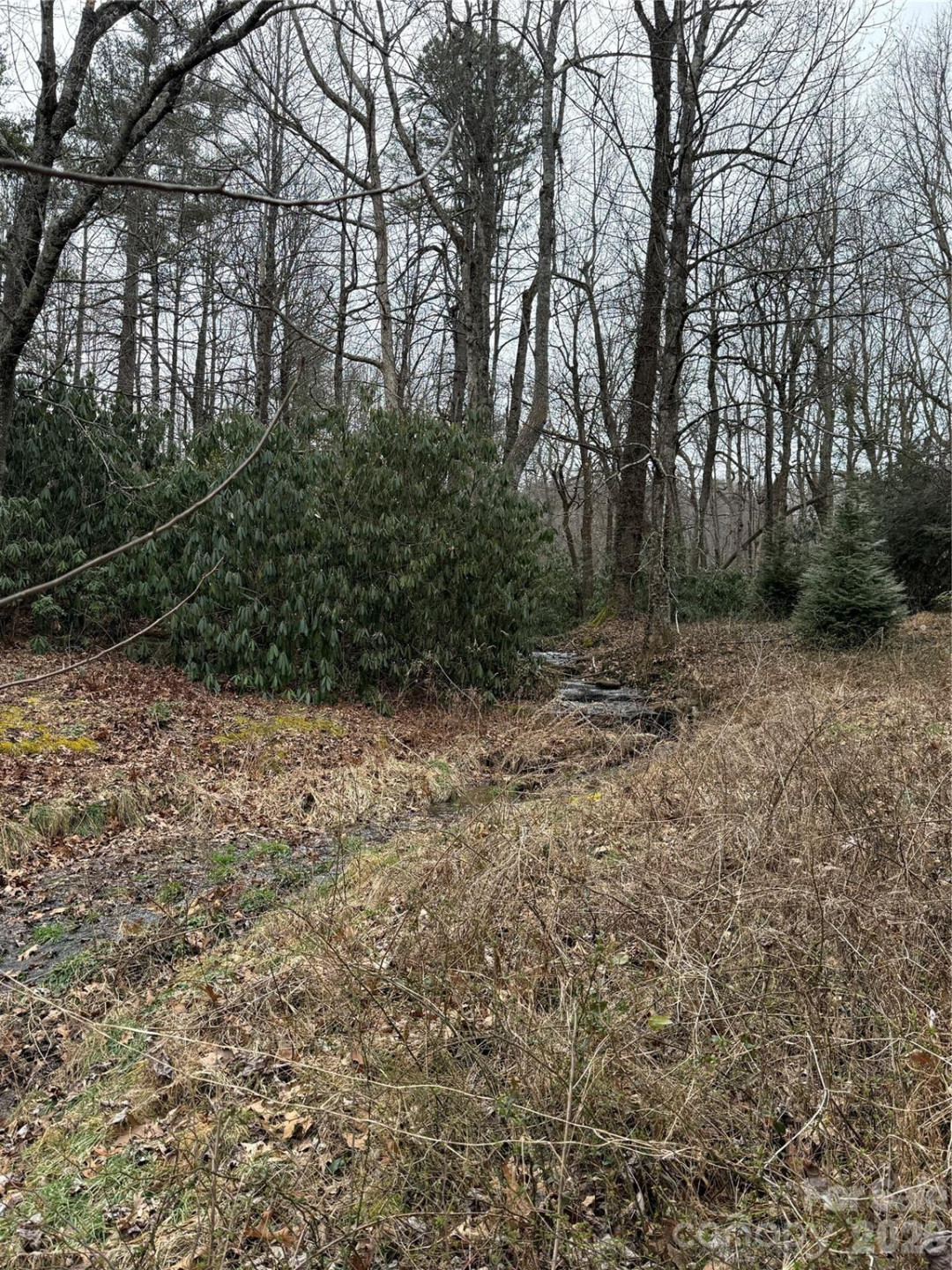 4 Ambrose Court #155 - Photo 39