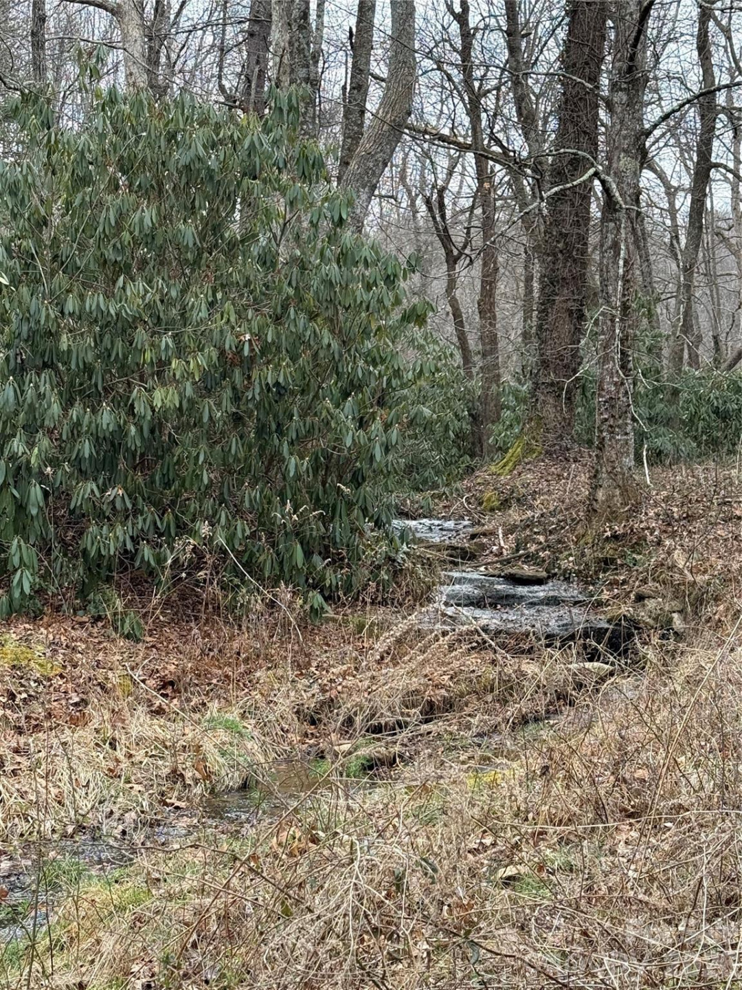 4 Ambrose Court #155 - Photo 40