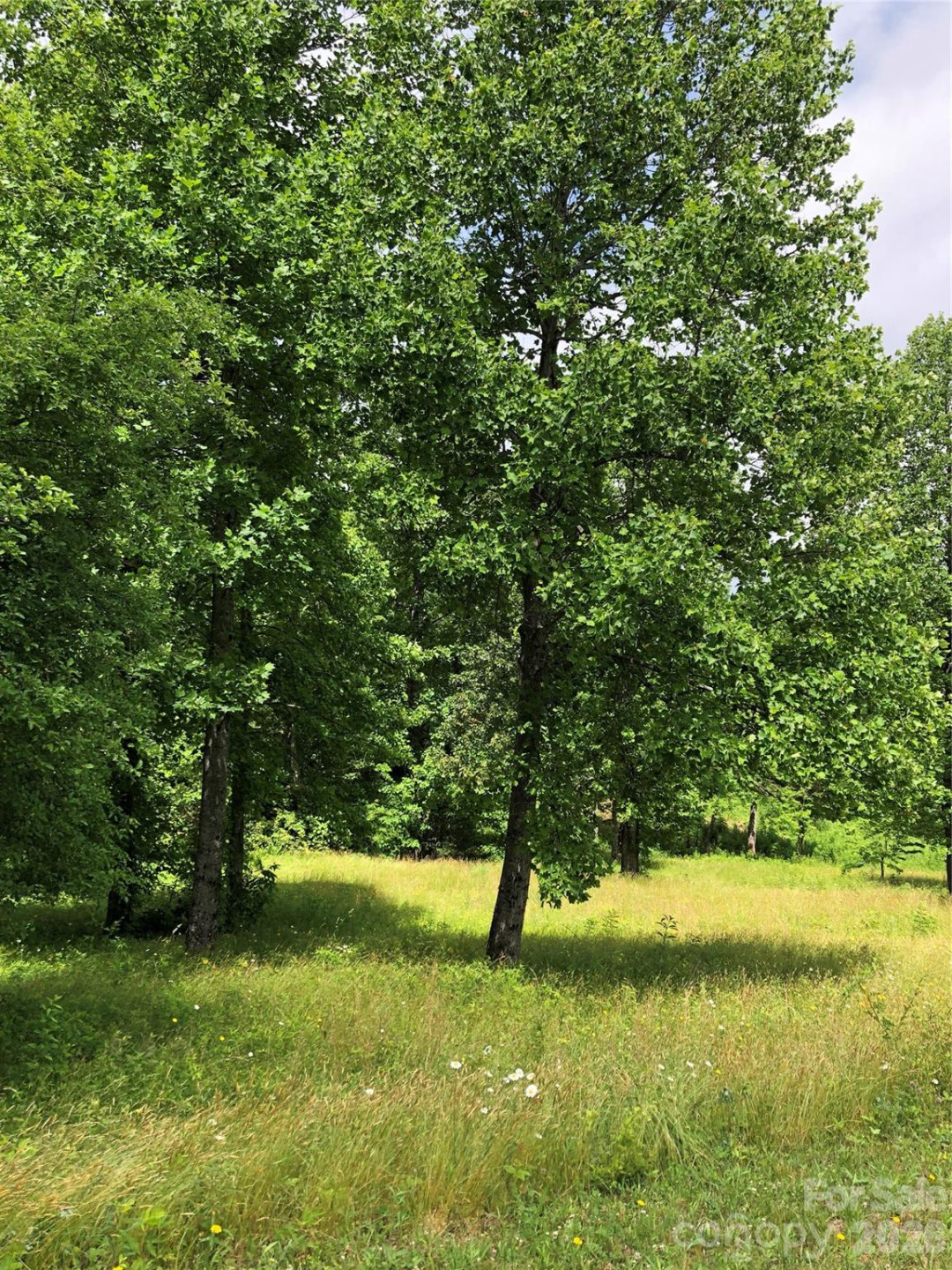 4 Ambrose Court #155 - Photo 5