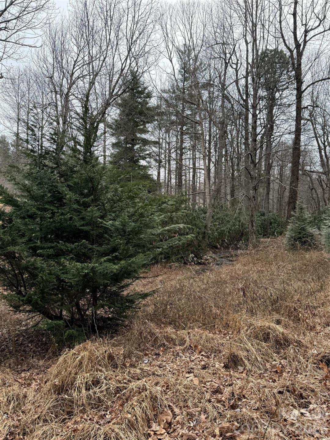 4 Ambrose Court #155 - Photo 41