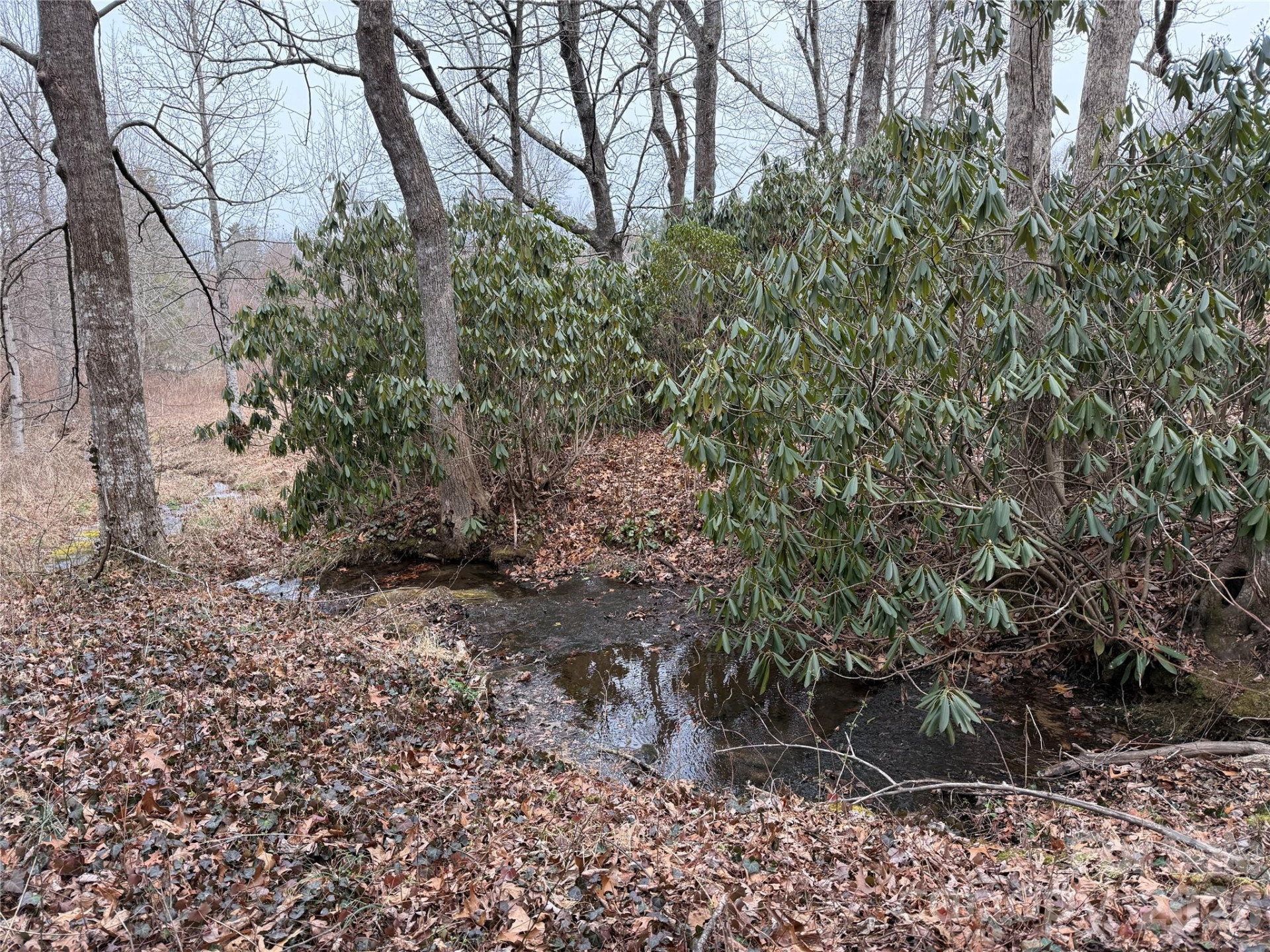 4 Ambrose Court #155 - Photo 43