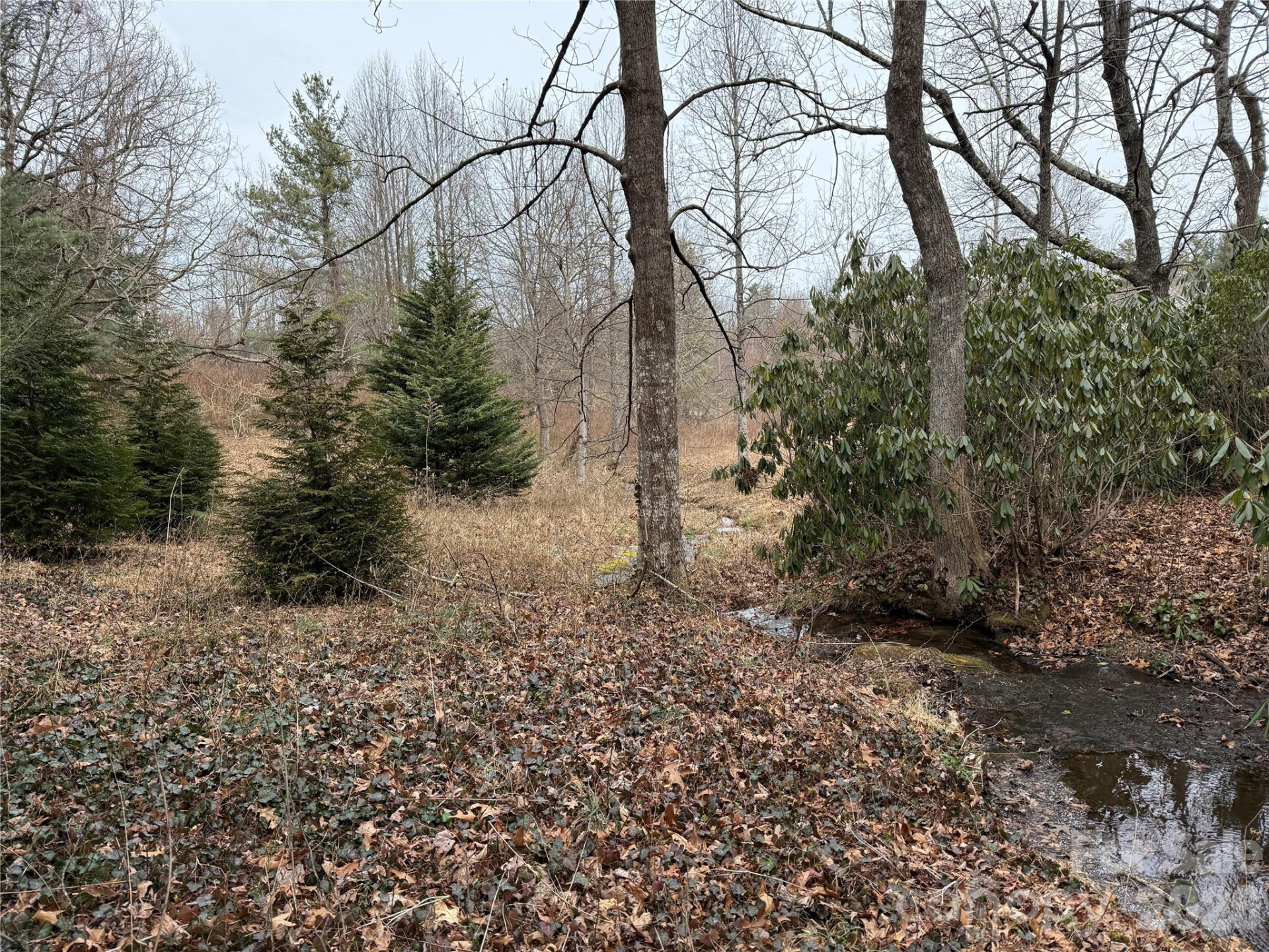 4 Ambrose Court #155 - Photo 44