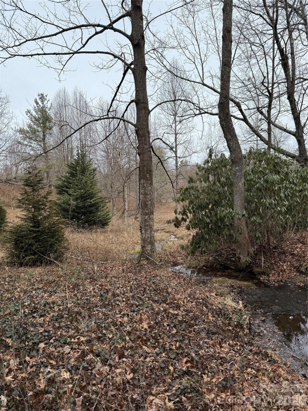 4 Ambrose Court #155 - Photo 45