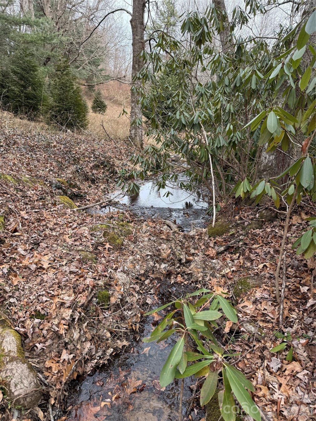 4 Ambrose Court #155 - Photo 46