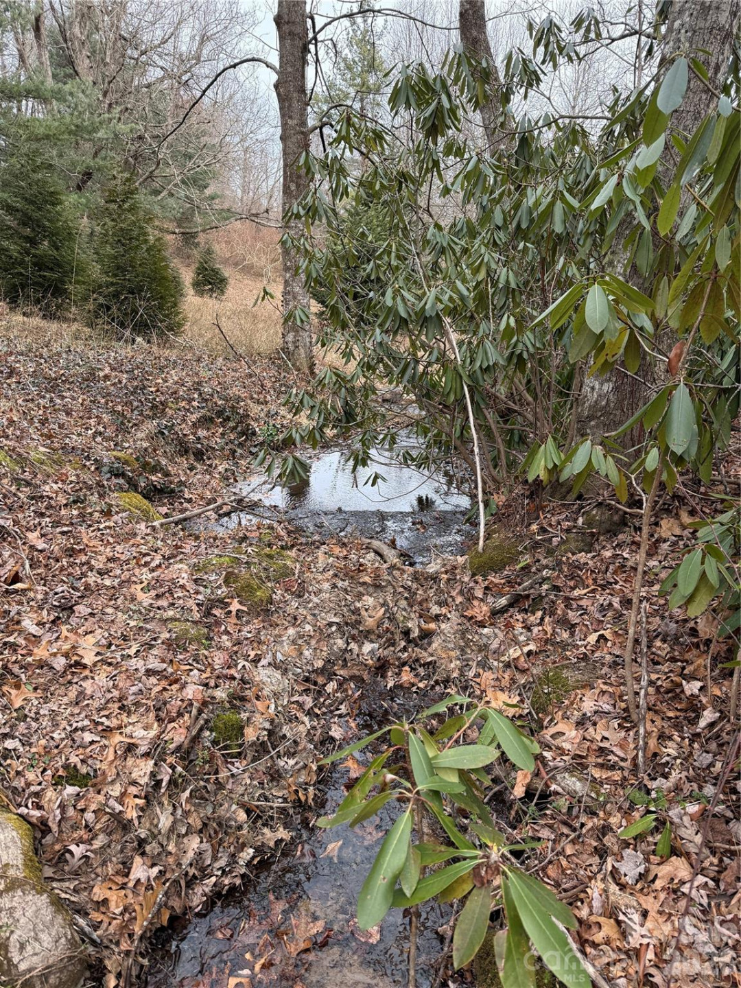 4 Ambrose Court #155 - Photo 47