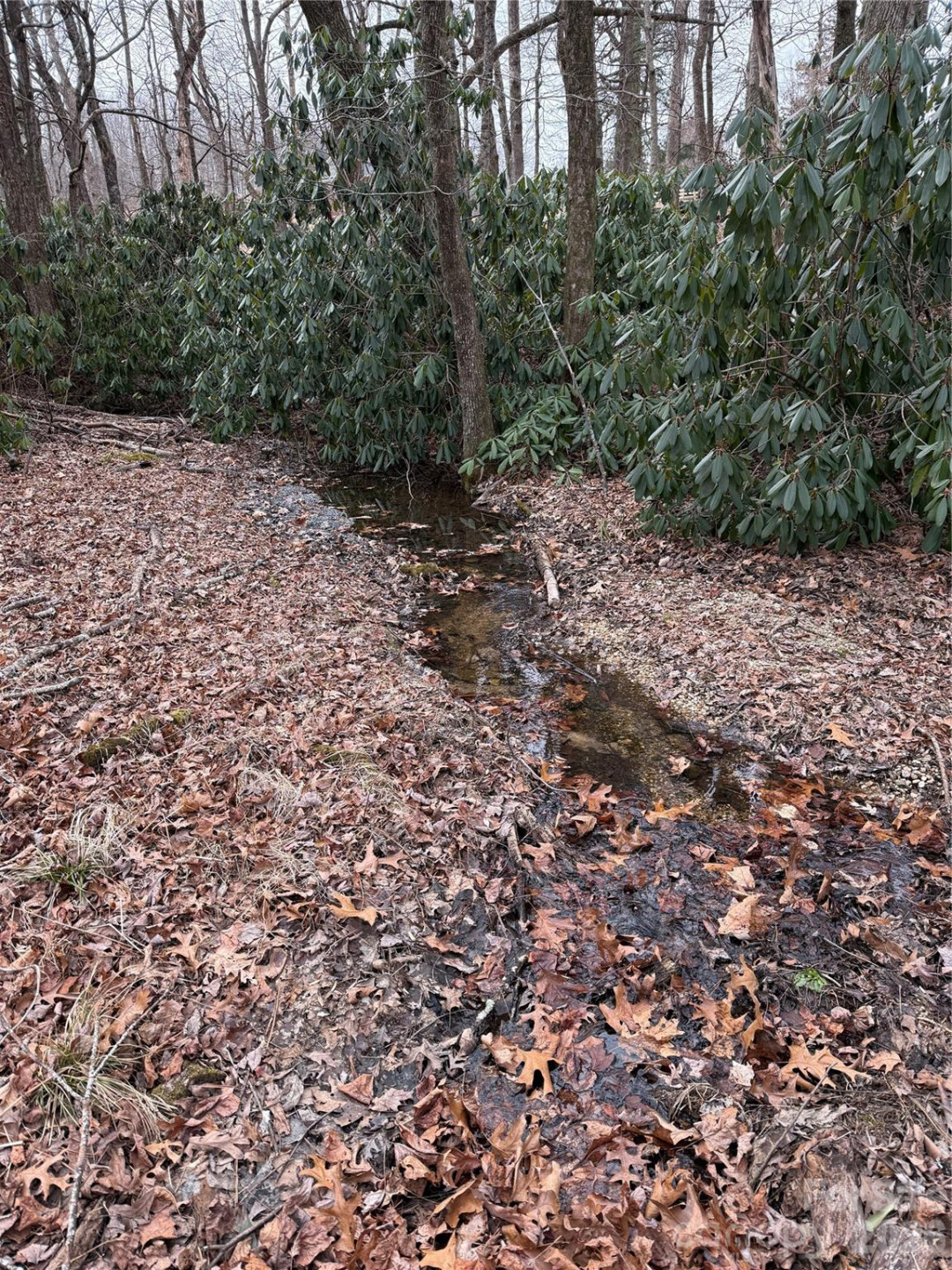 4 Ambrose Court #155 - Photo 48