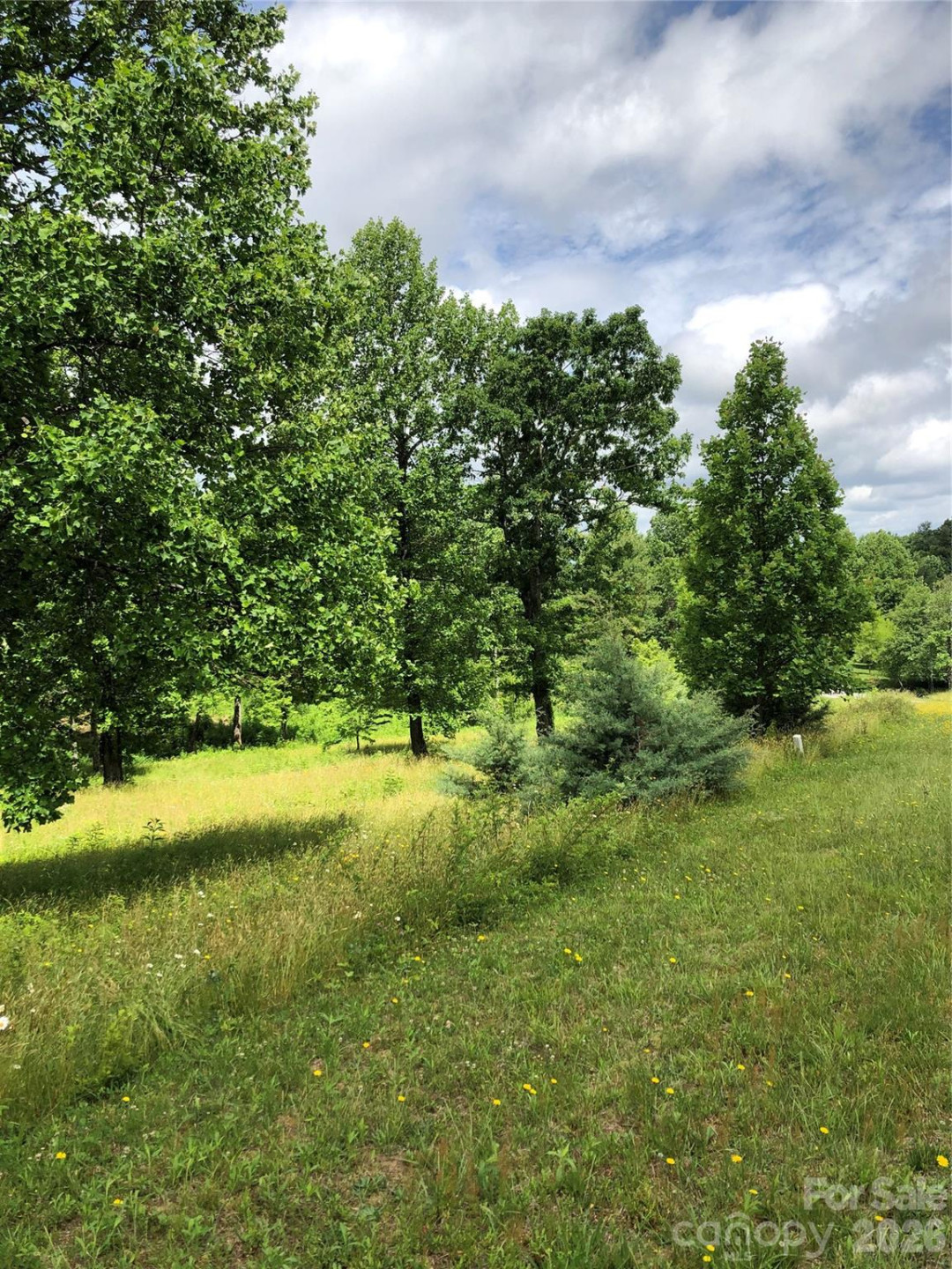 4 Ambrose Court #155 - Photo 6