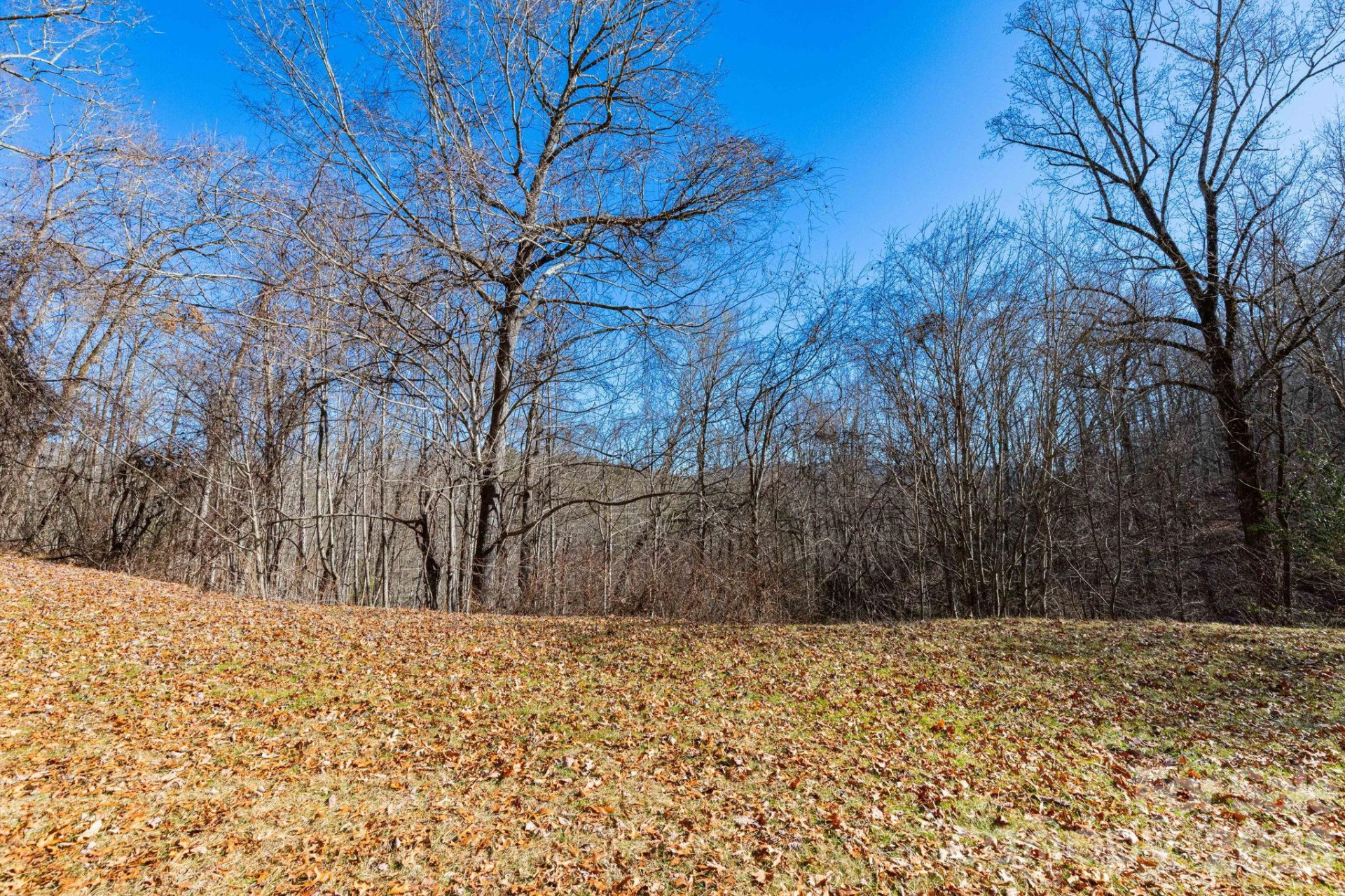 143 Hubert Mccall Drive - Photo 21