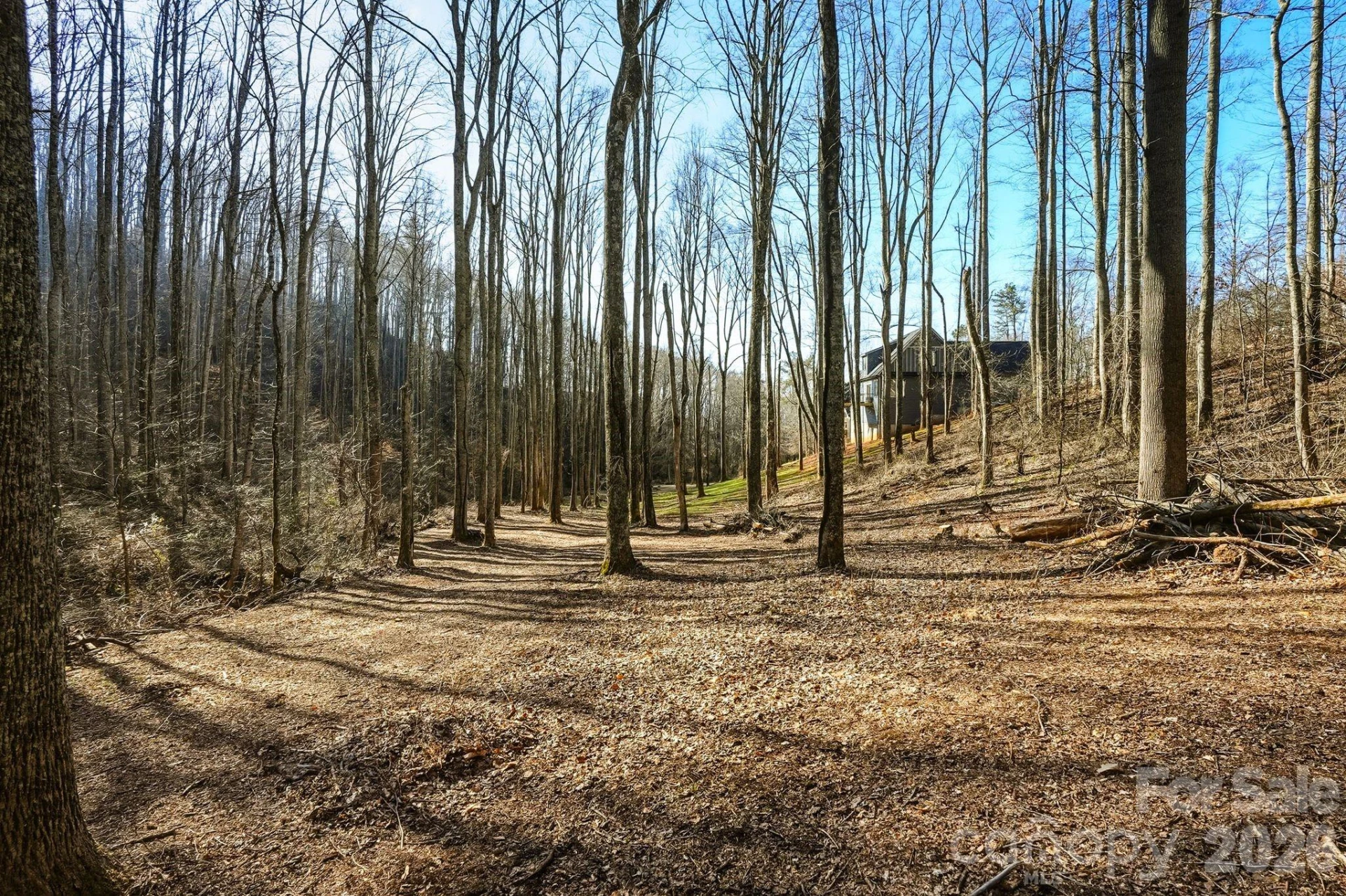 67 Bamboo Trail #18