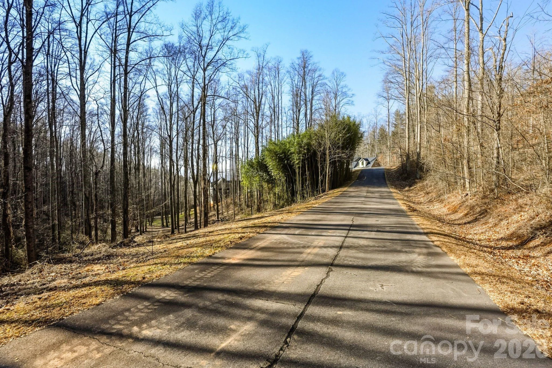67 Bamboo Trail #18 - Photo 2