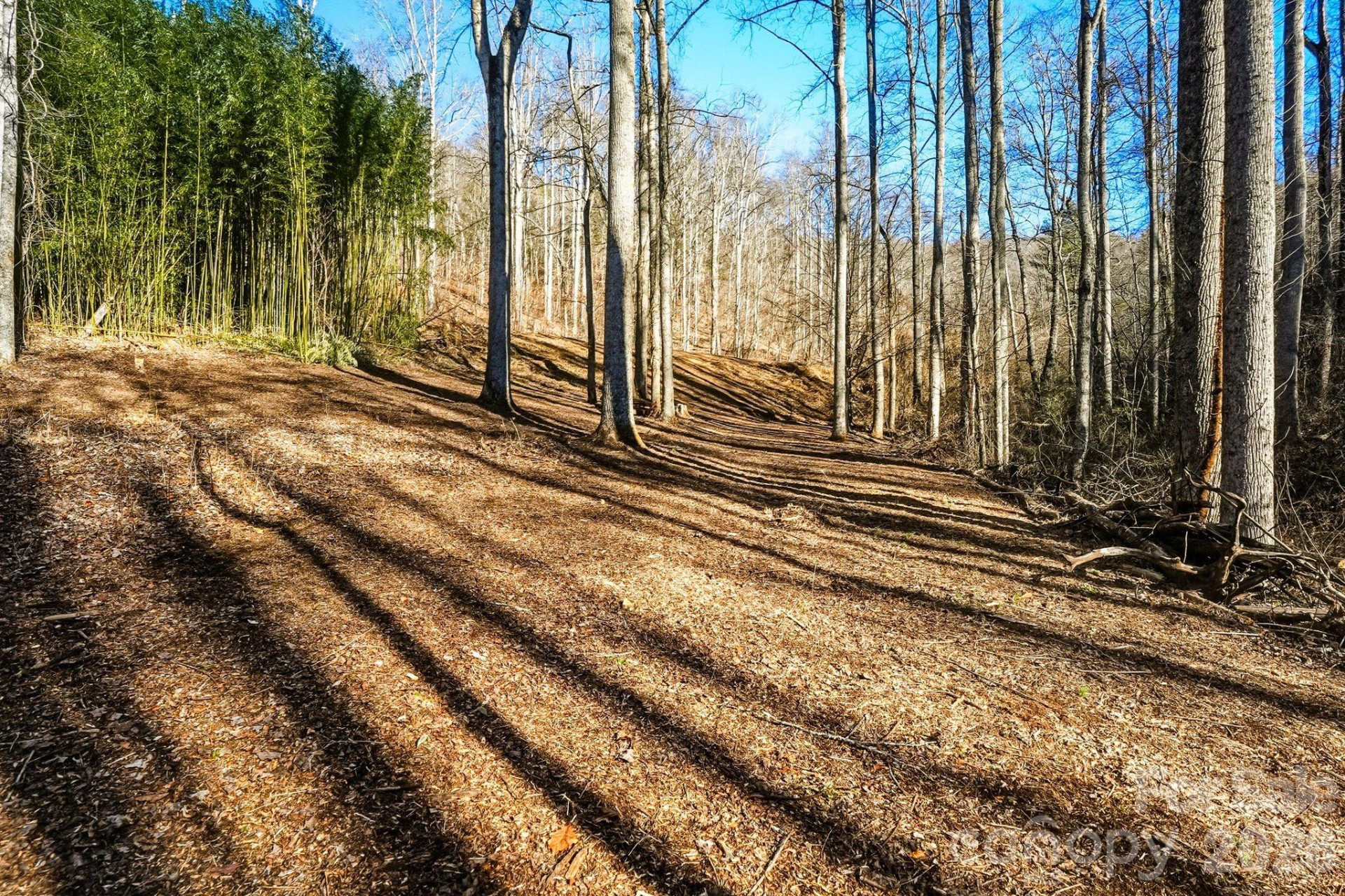 67 Bamboo Trail #18 - Photo 11