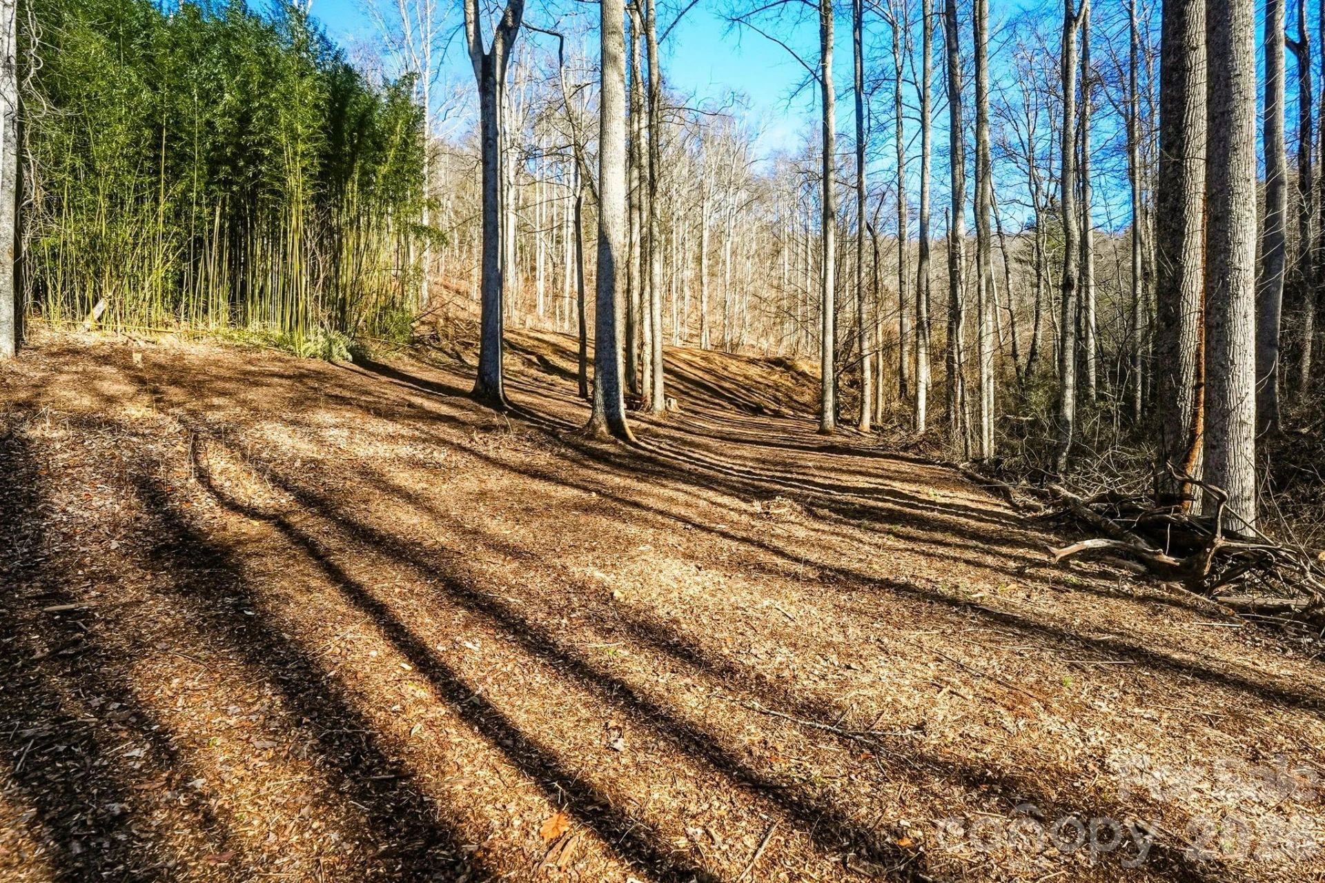 67 Bamboo Trail #18 - Photo 11