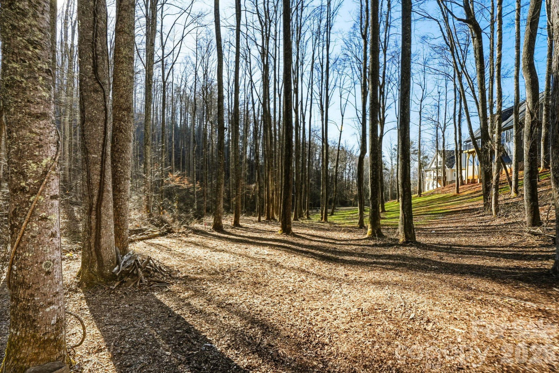 67 Bamboo Trail #18 - Photo 12