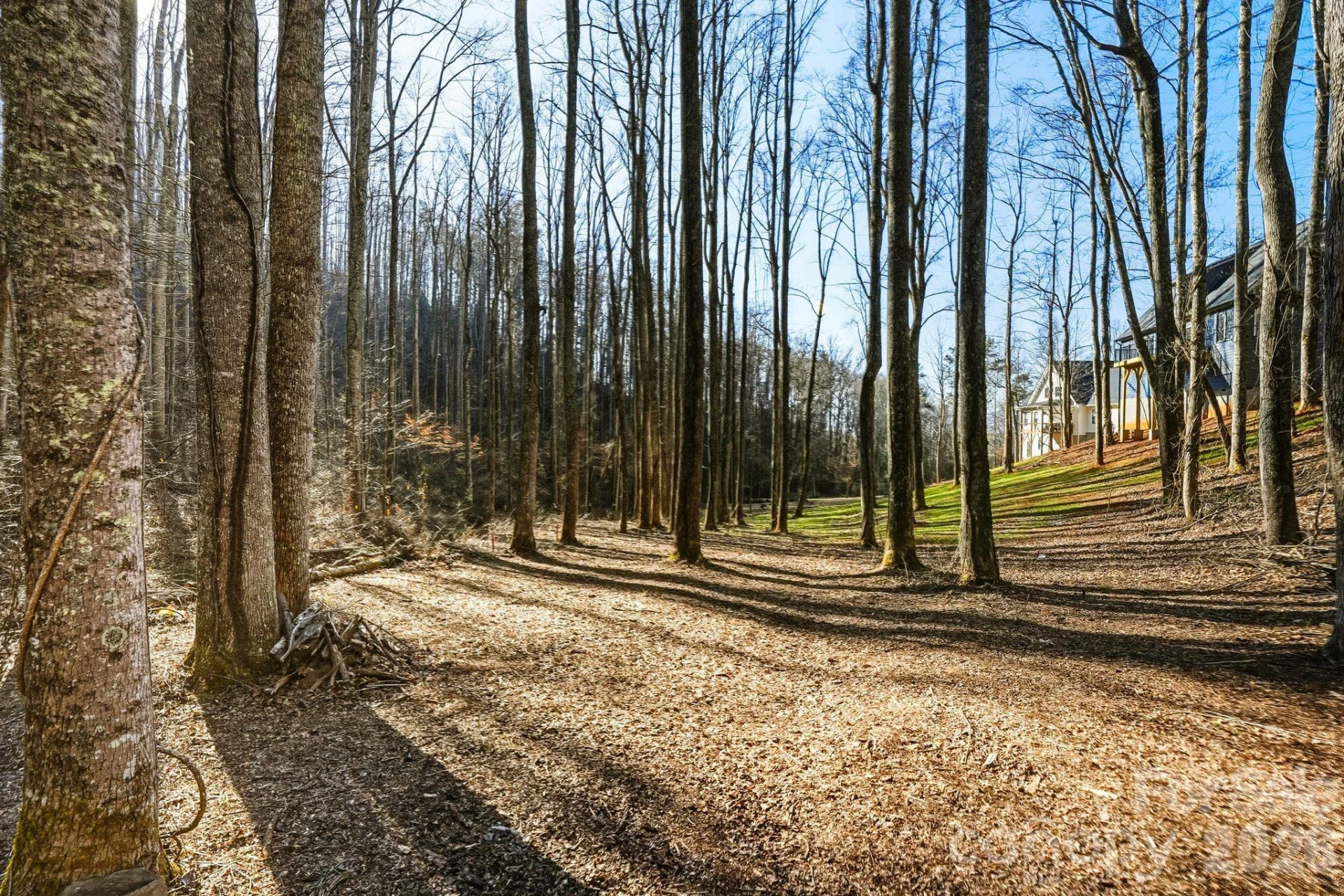 67 Bamboo Trail #18 - Photo 12