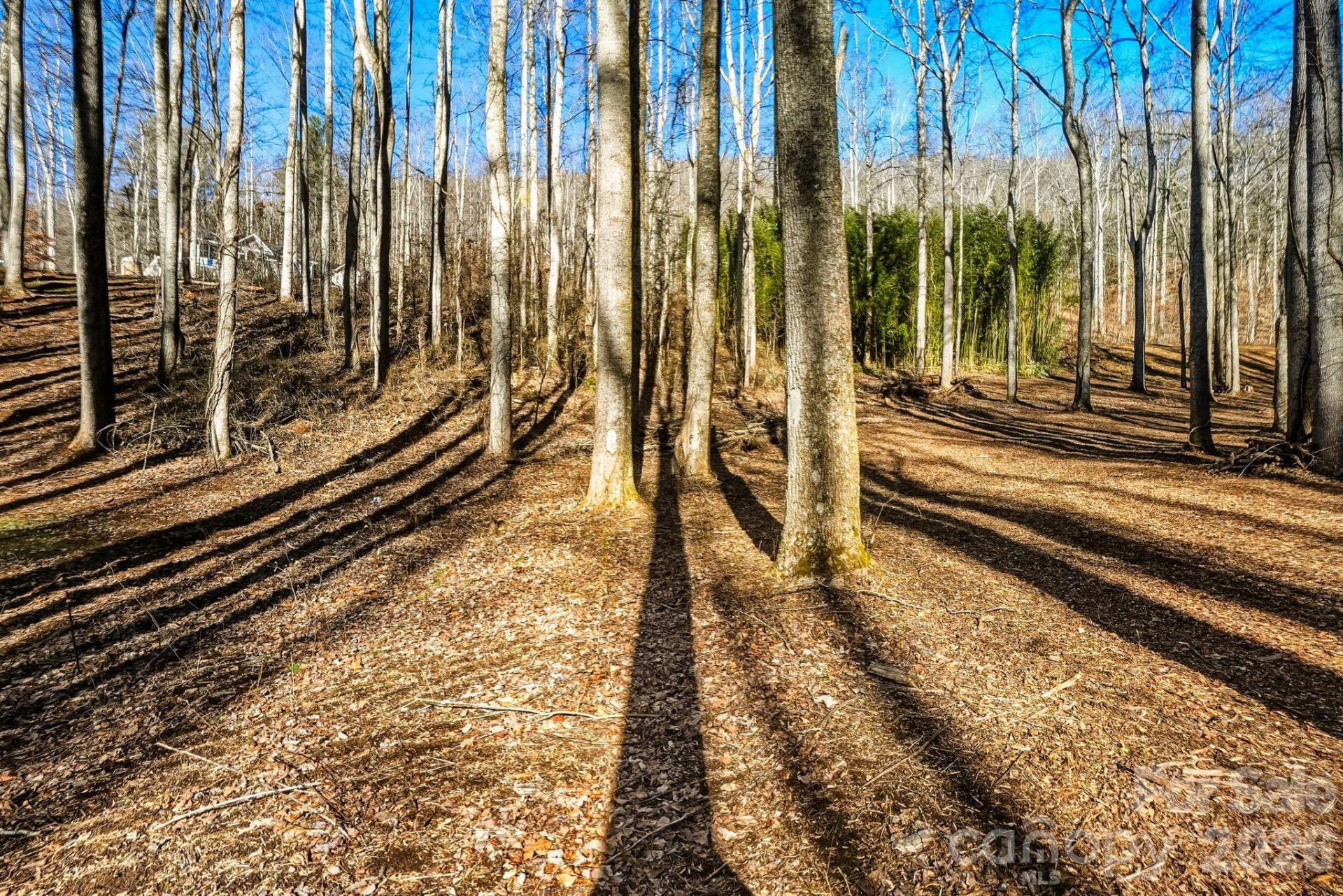 67 Bamboo Trail #18 - Photo 14