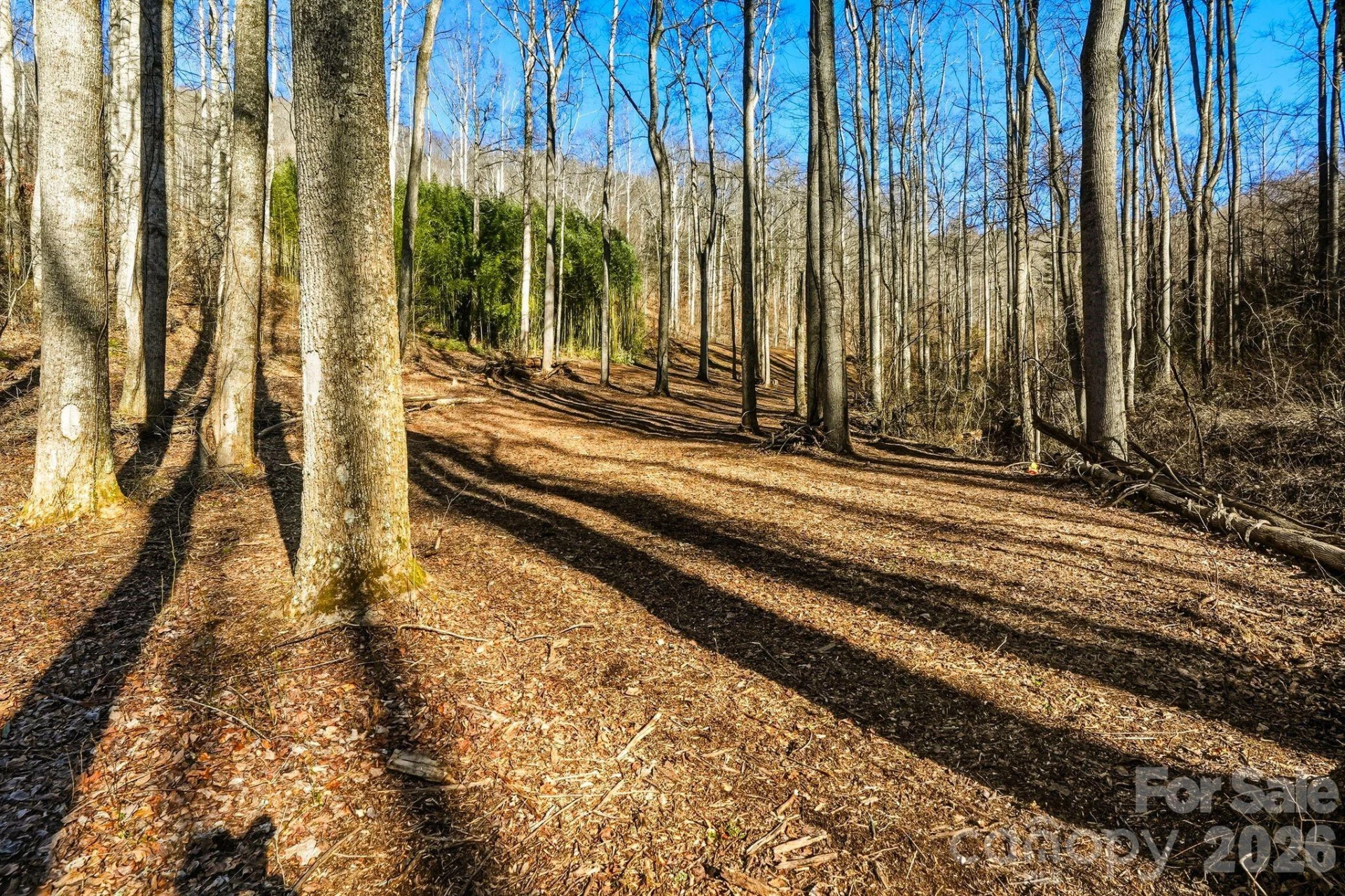 67 Bamboo Trail #18 - Photo 15