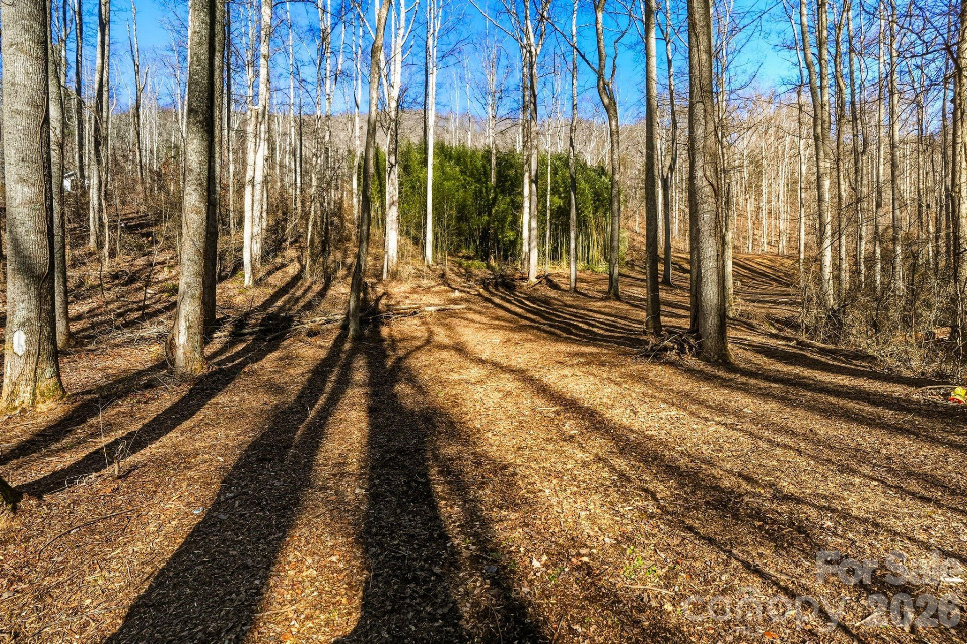 67 Bamboo Trail #18 - Photo 16