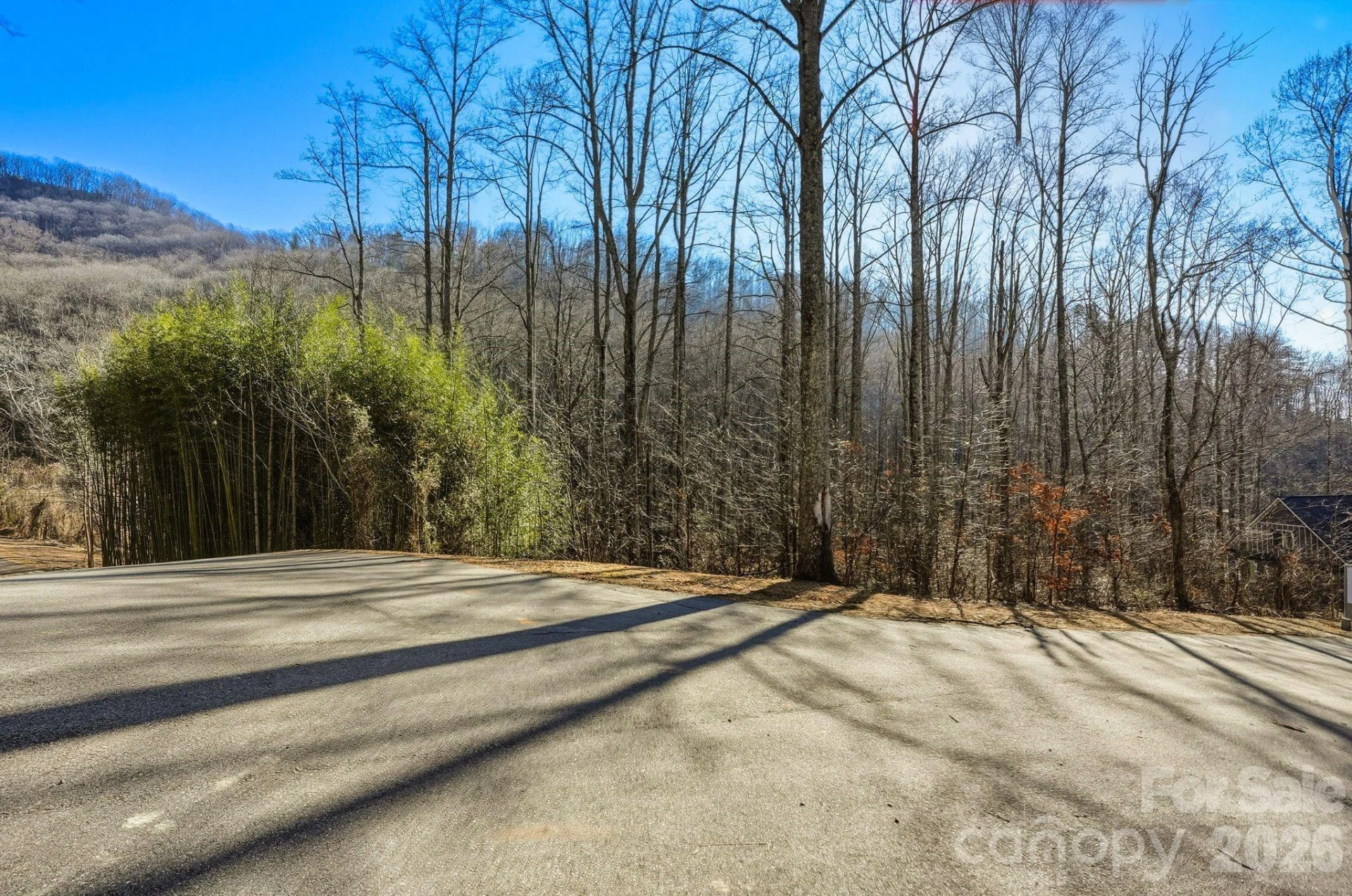 67 Bamboo Trail #18 - Photo 18