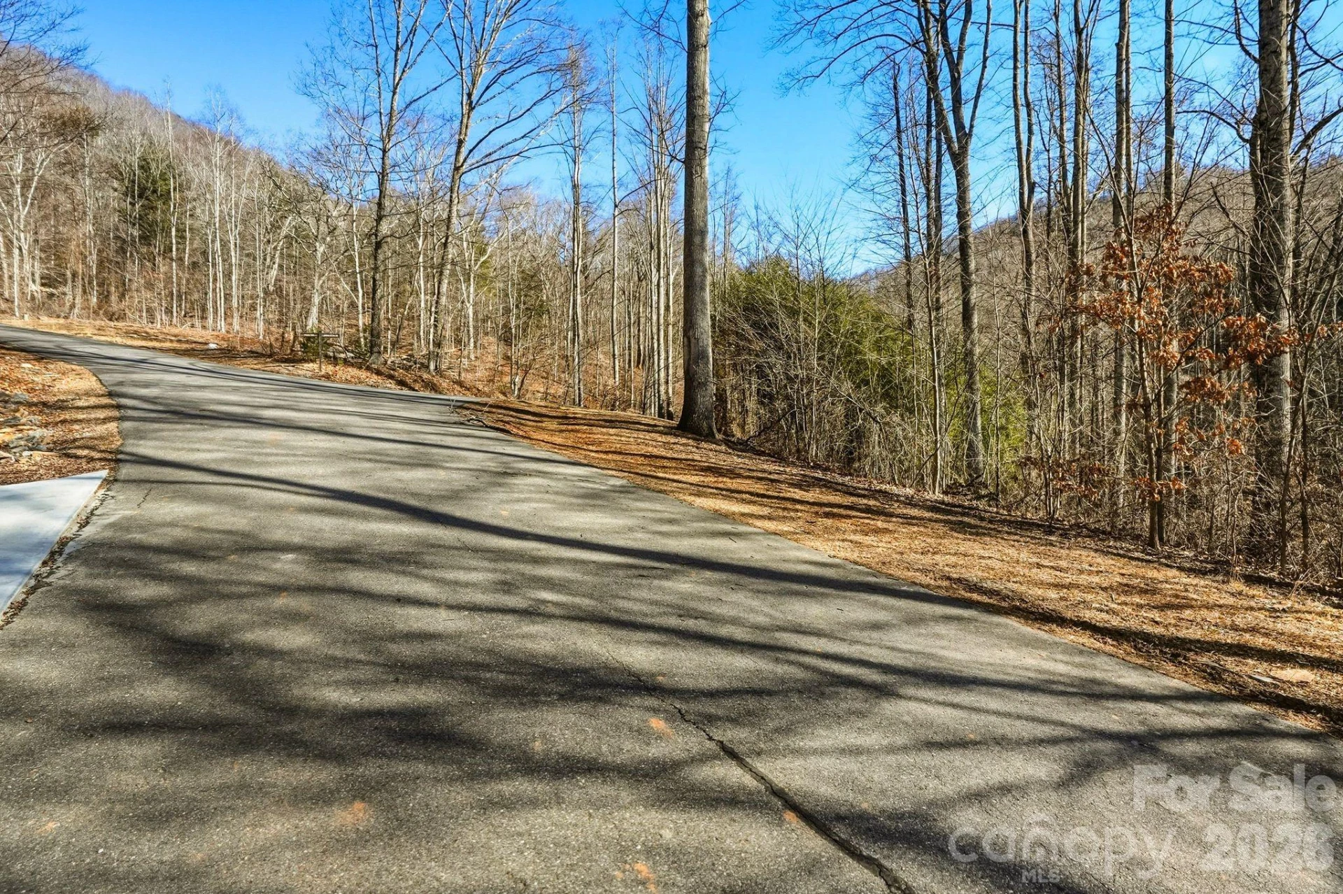 67 Bamboo Trail #18 - Photo 20