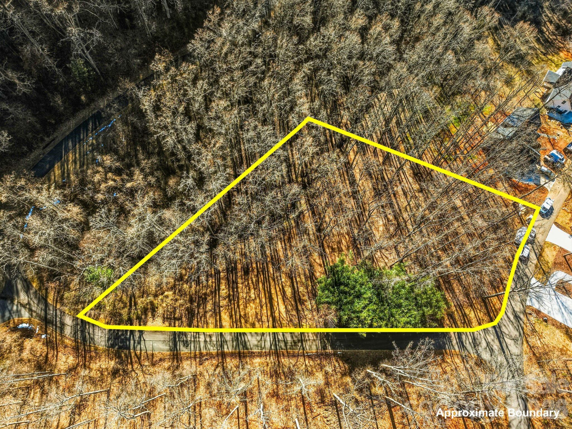 67 Bamboo Trail #18 - Photo 3