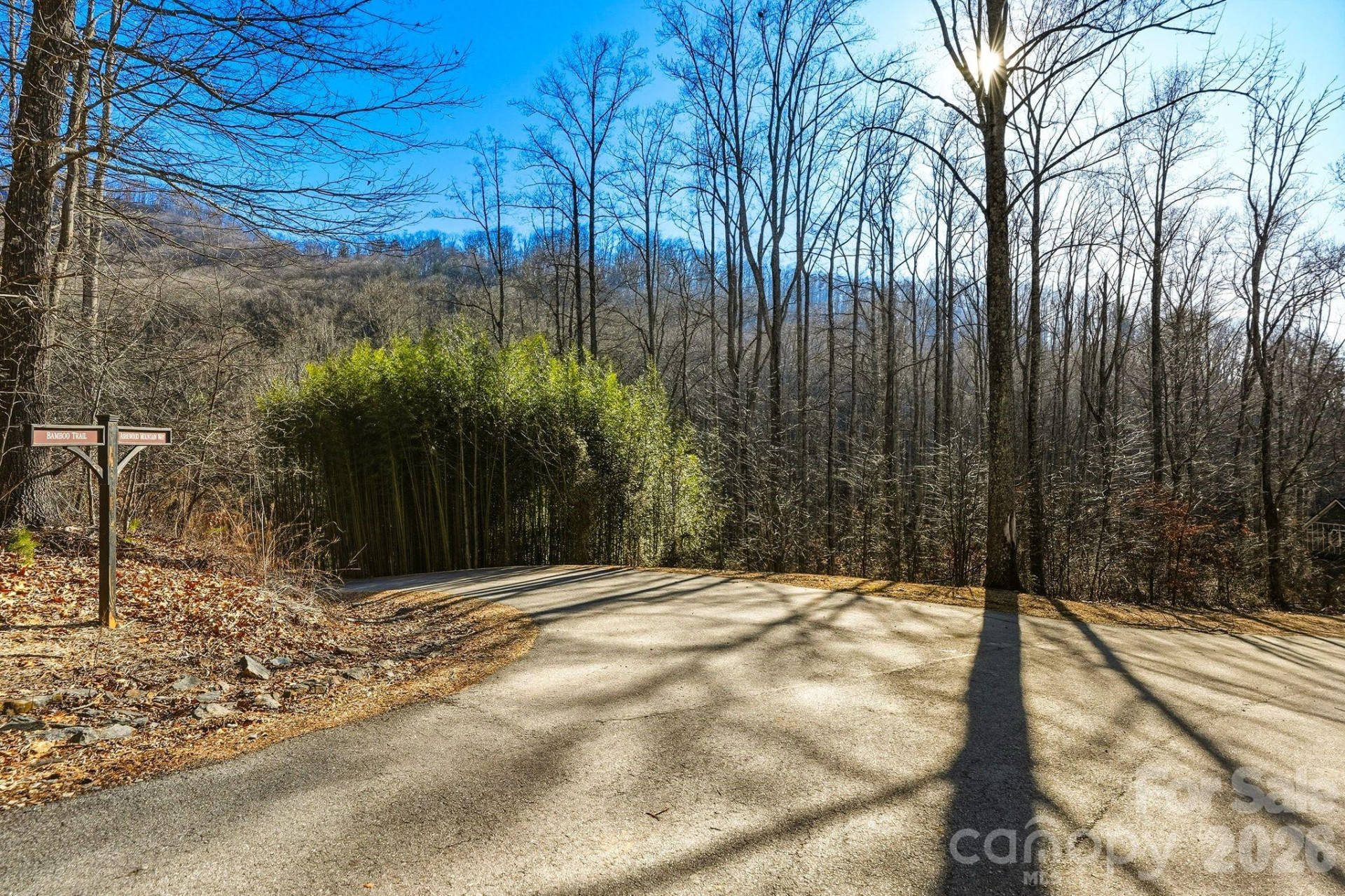 67 Bamboo Trail #18 - Photo 21