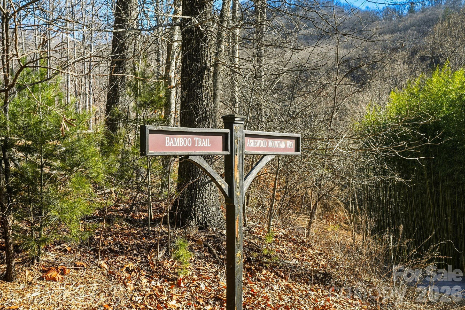 67 Bamboo Trail #18 - Photo 22