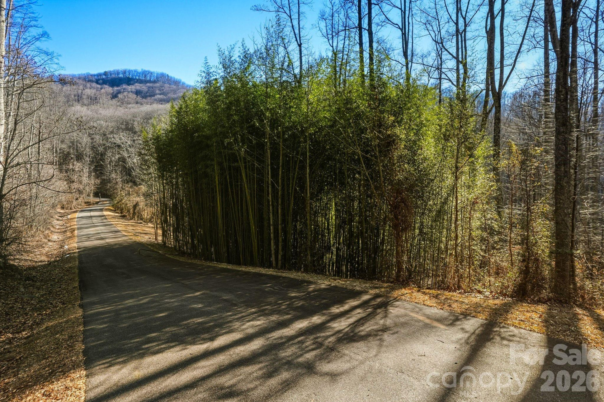 67 Bamboo Trail #18 - Photo 24