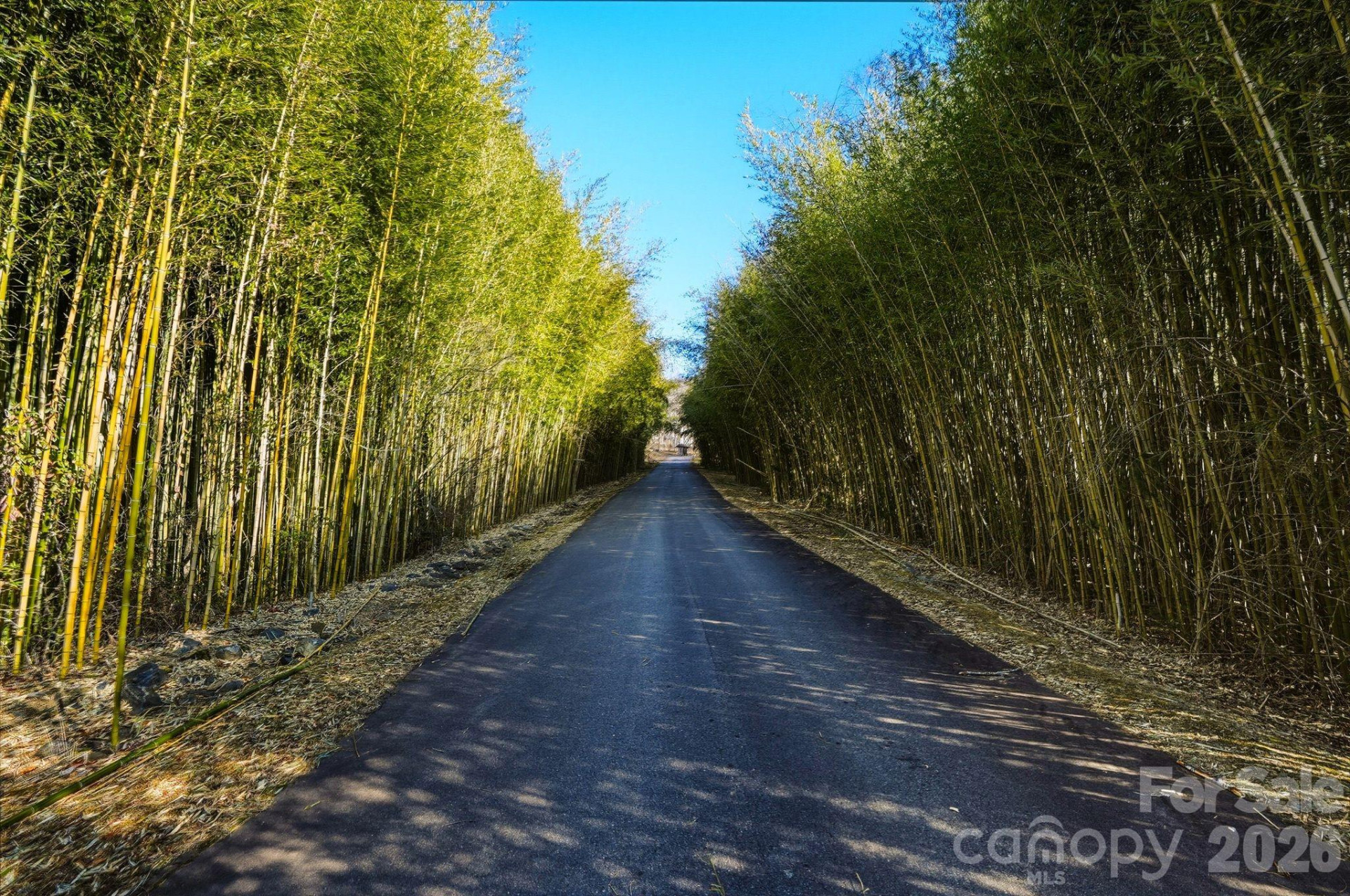 67 Bamboo Trail #18 - Photo 26