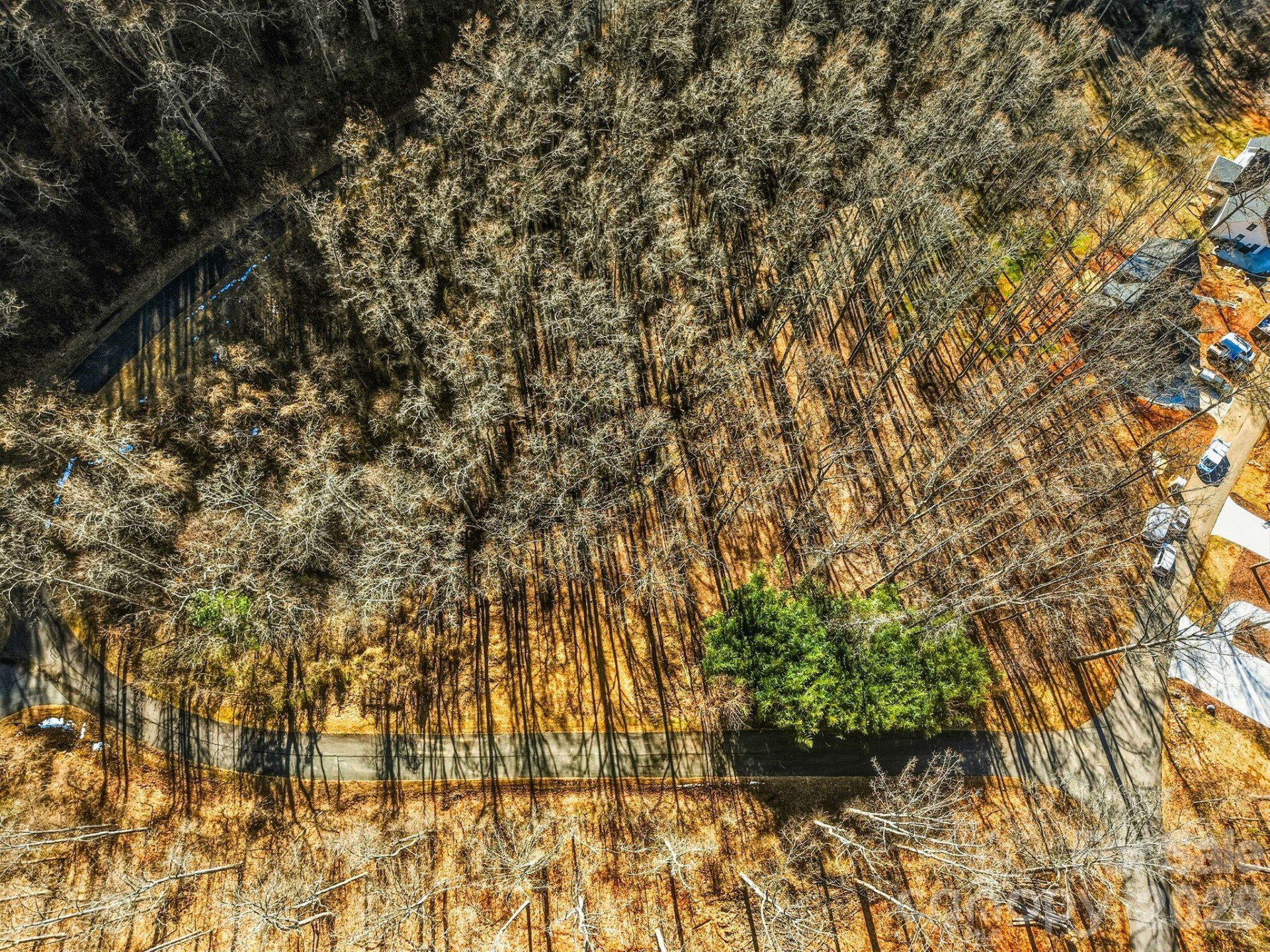 67 Bamboo Trail #18 - Photo 27