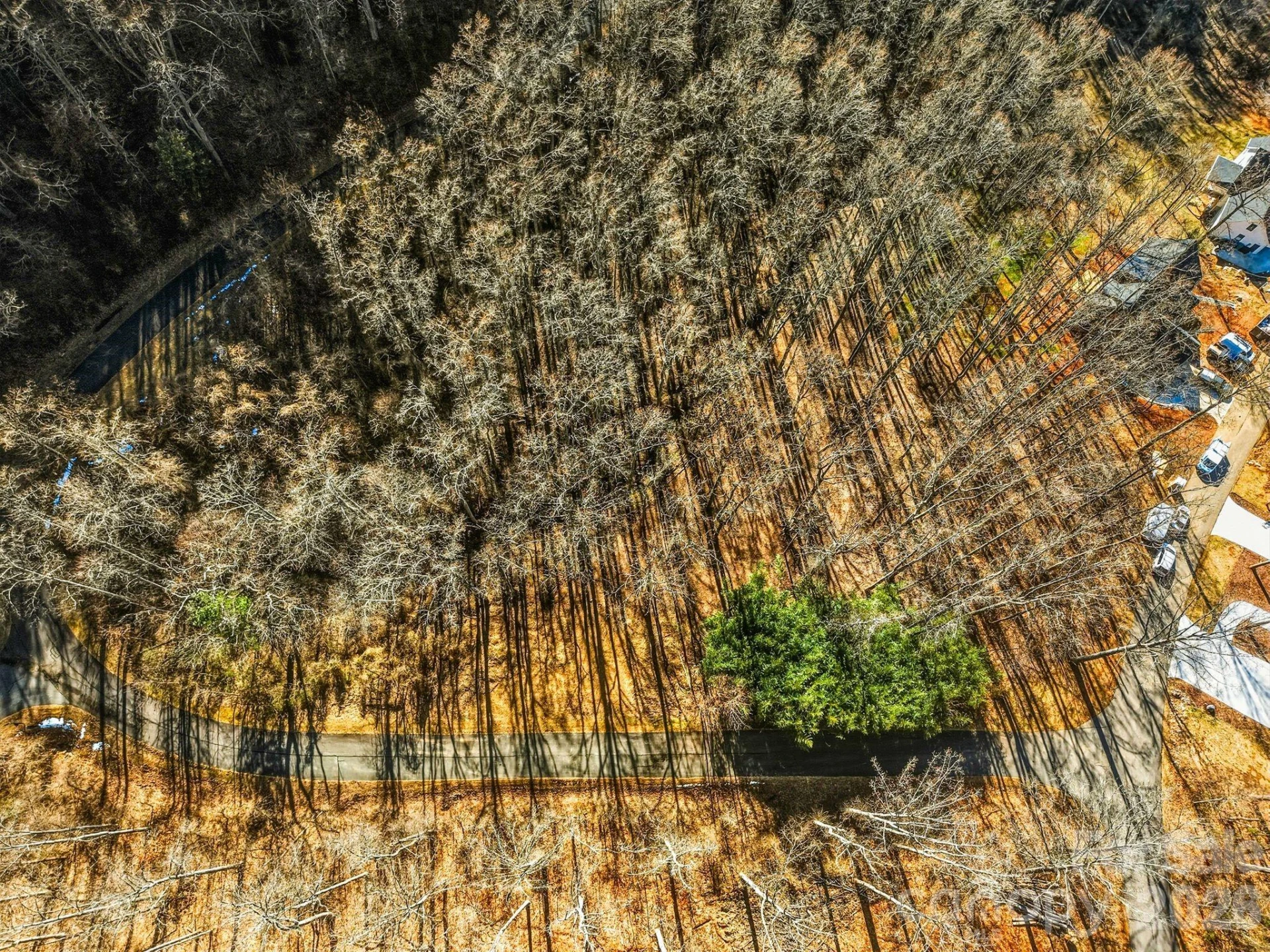 67 Bamboo Trail #18 - Photo 27