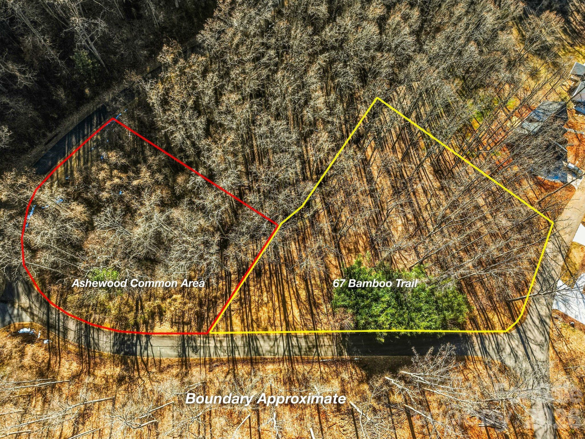 67 Bamboo Trail #18 - Photo 4