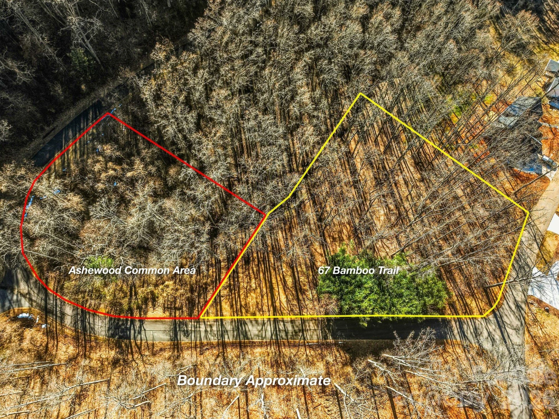67 Bamboo Trail #18 - Photo 4