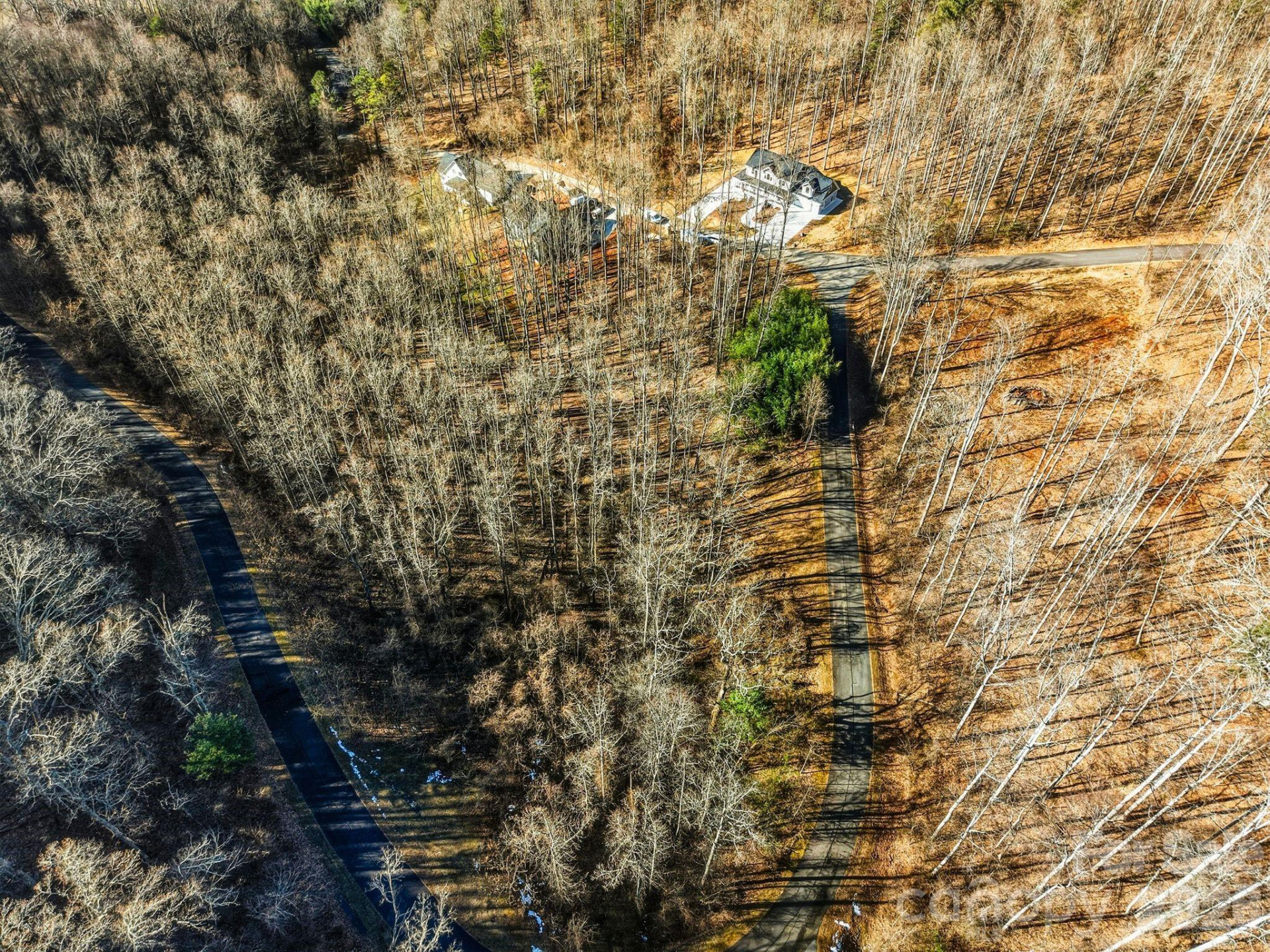 67 Bamboo Trail #18 - Photo 31