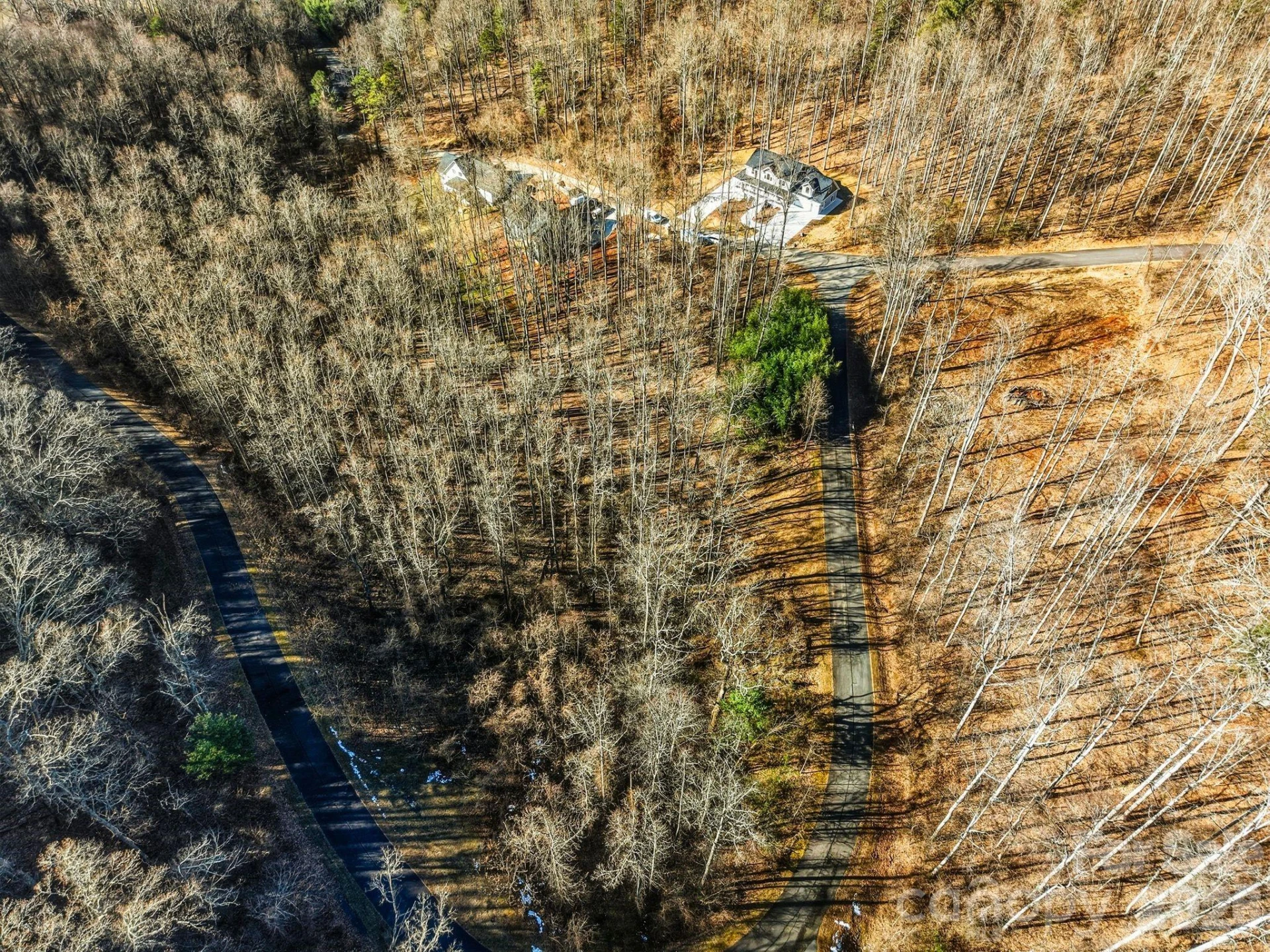 67 Bamboo Trail #18 - Photo 31