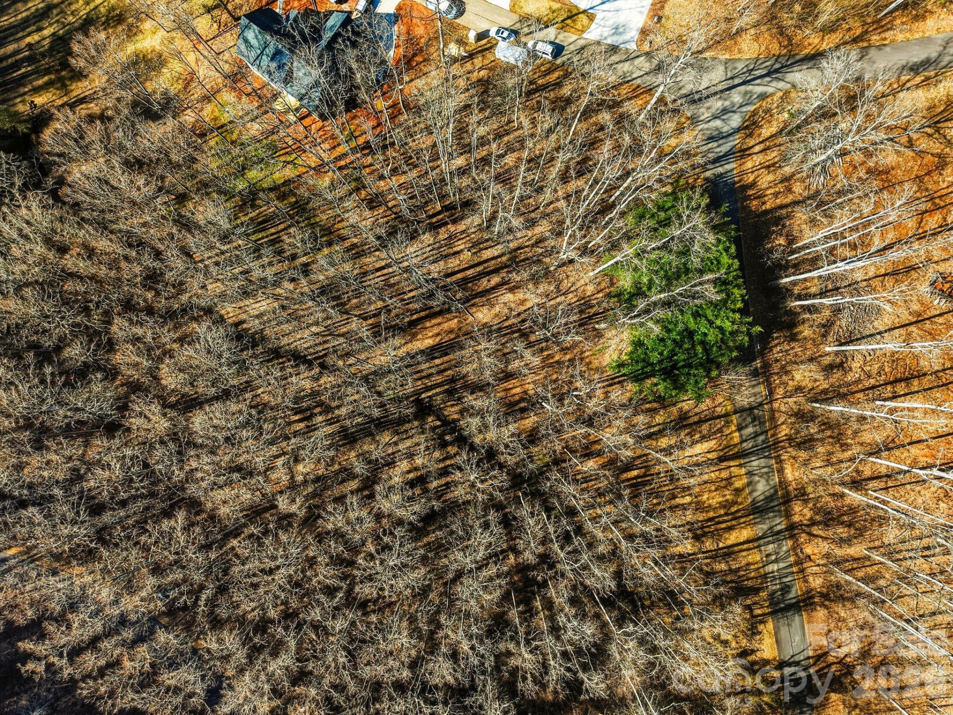 67 Bamboo Trail #18 - Photo 32