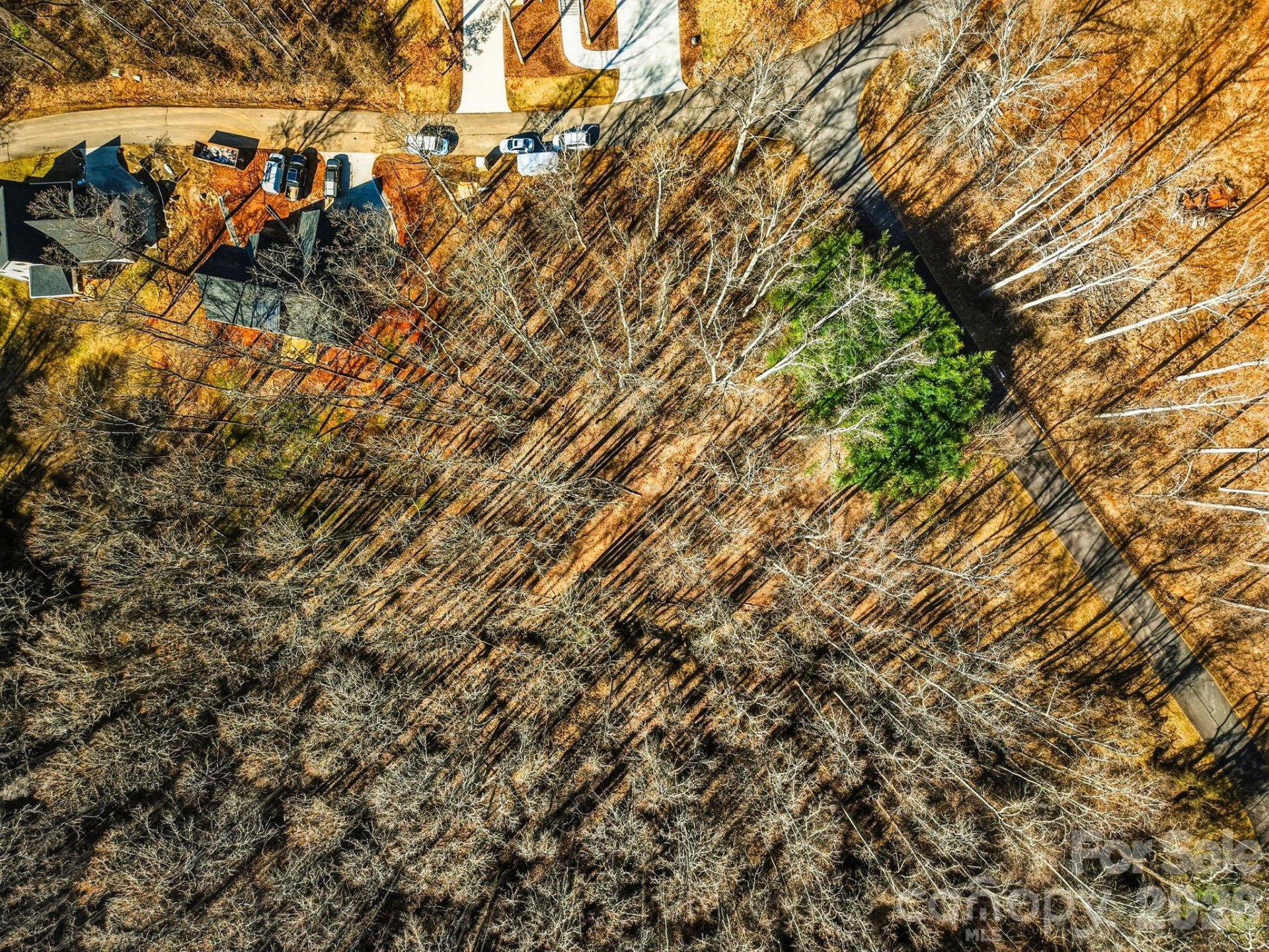 67 Bamboo Trail #18 - Photo 33