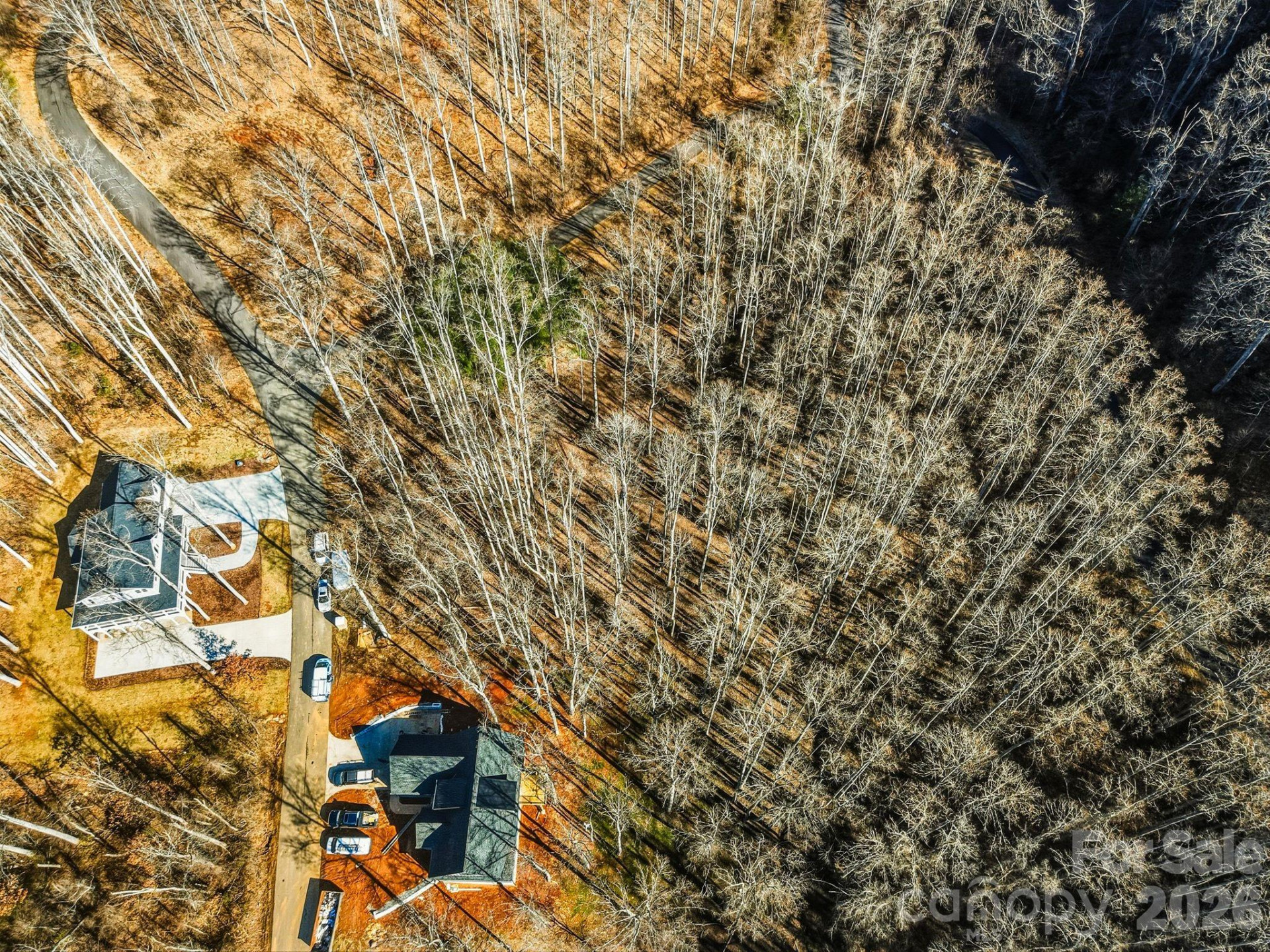 67 Bamboo Trail #18 - Photo 34