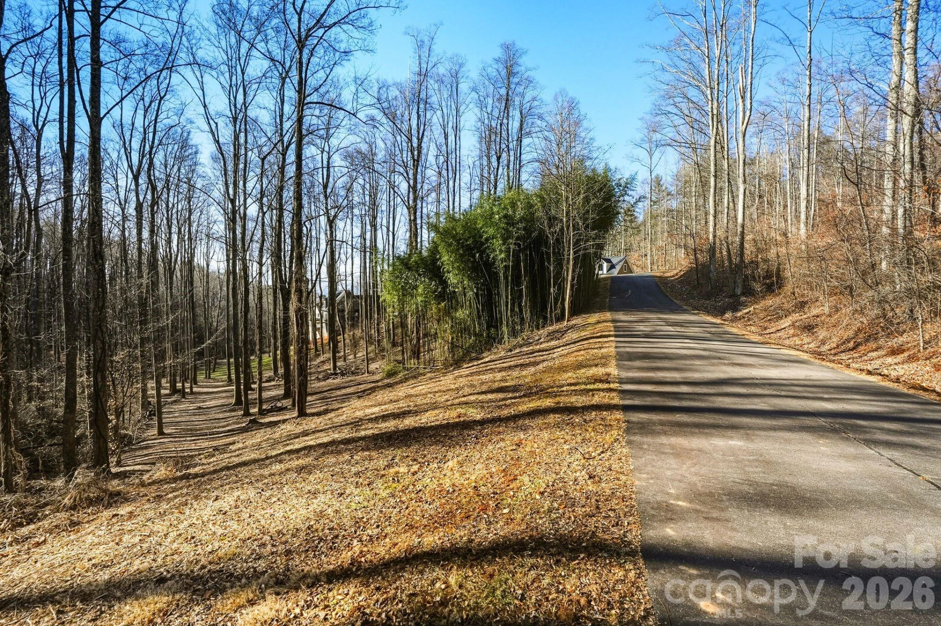 67 Bamboo Trail #18 - Photo 7