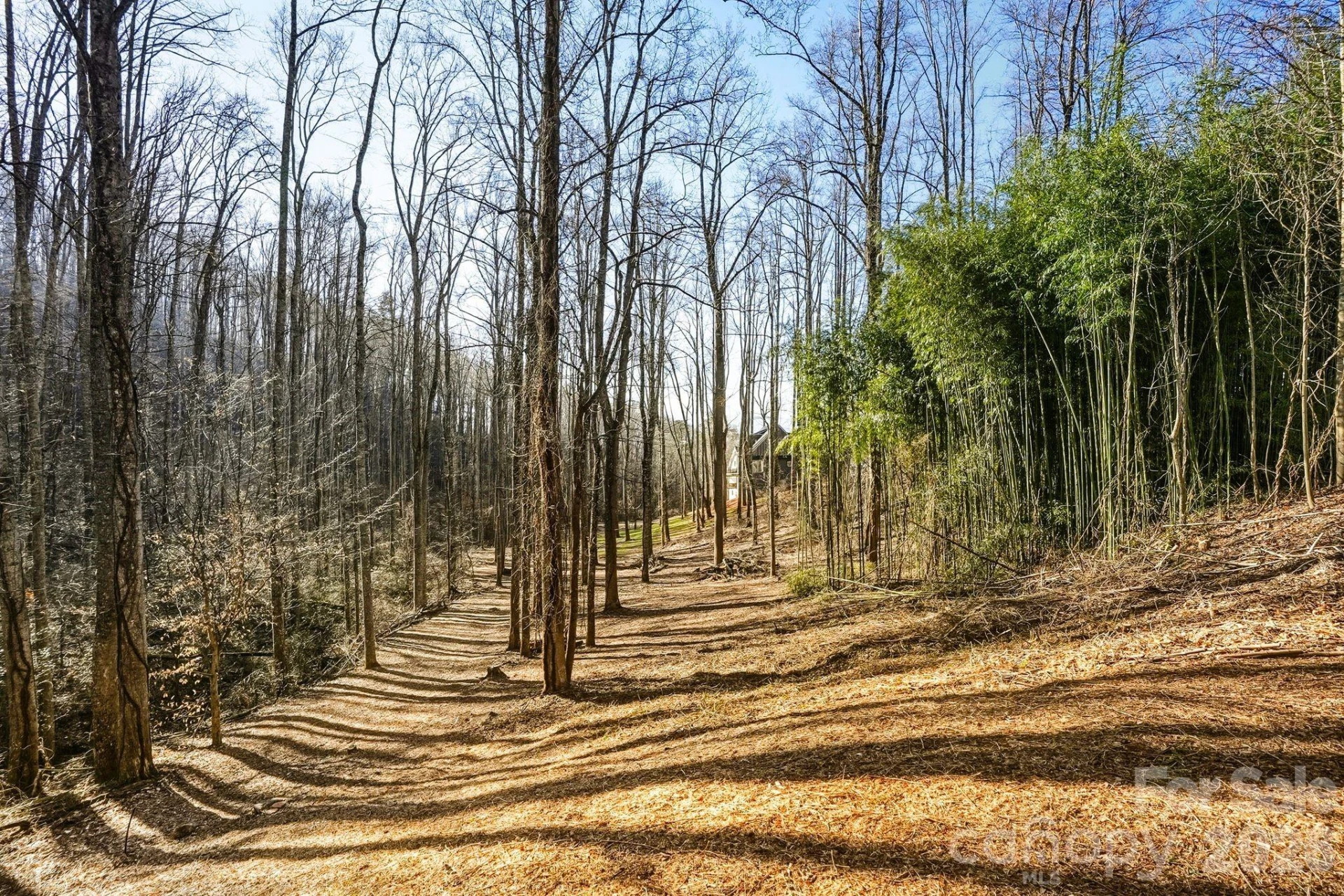 67 Bamboo Trail #18 - Photo 8